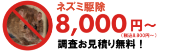 ネズミ駆除価格