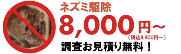 ネズミ駆除価格