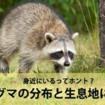 九州のアライグマの分布と生息地について