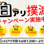 熊本県熊本市北区　シロアリ駆除5冠達成！　お客様の喜びの声