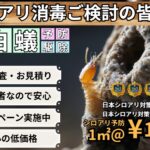 「熊本市　シロアリ駆除・予防」5冠★４.９　地元業者で安心と信頼