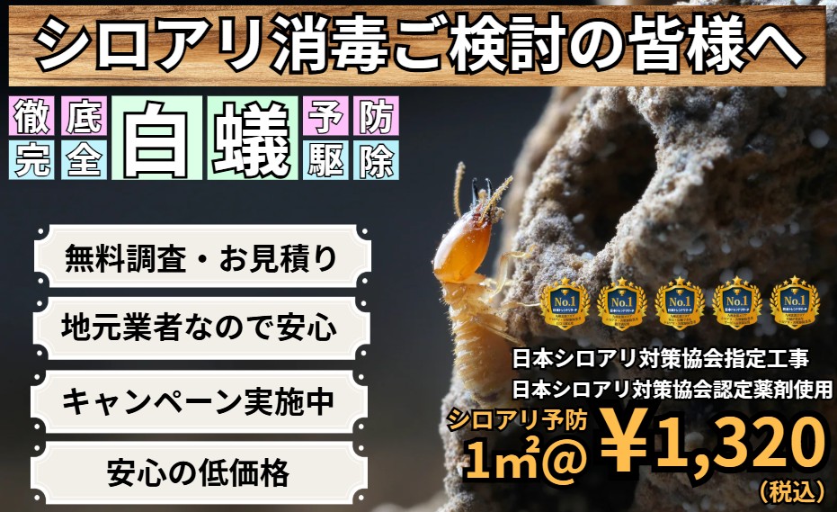 シロアリ消毒をご検討の皆様・熊本県、佐賀県、福岡縣ならお任せください。業界最安値価格@¥1200です。