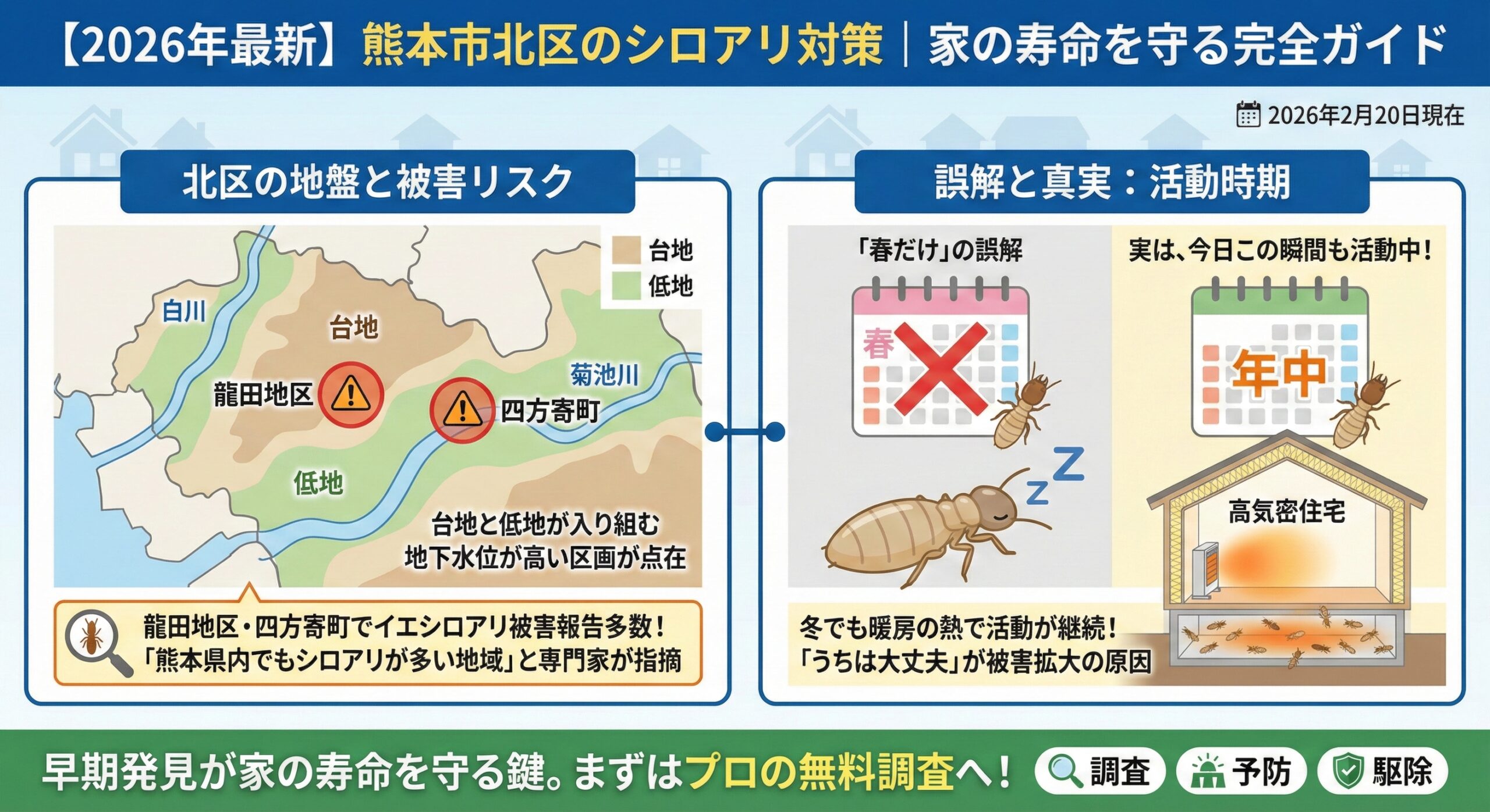 熊本市北区のシロアリ対策家の寿命を守る完全ガイド