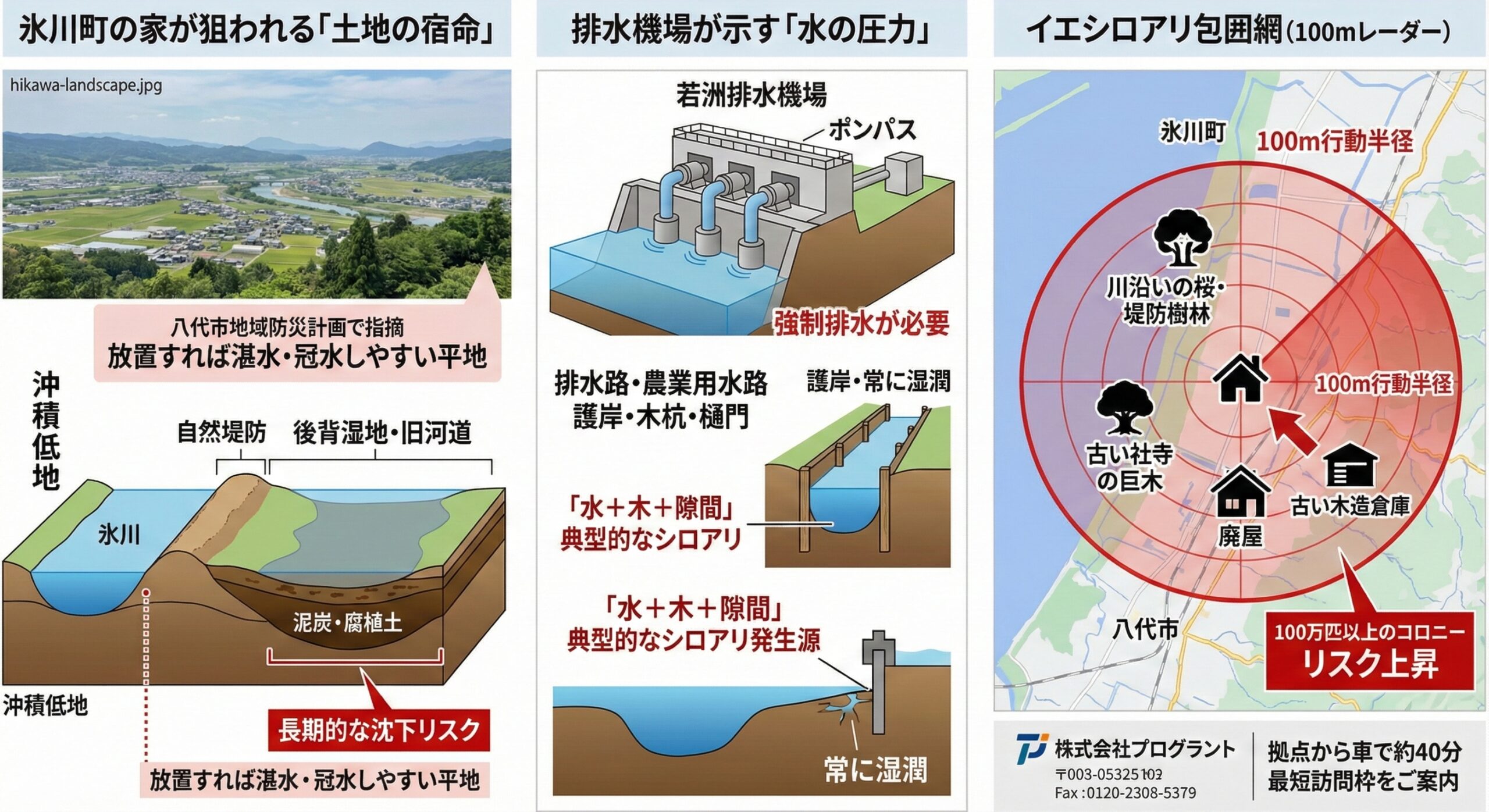 氷川町が狙われる土地の宿命排水機場が示す水の圧力家シロアリ包囲網