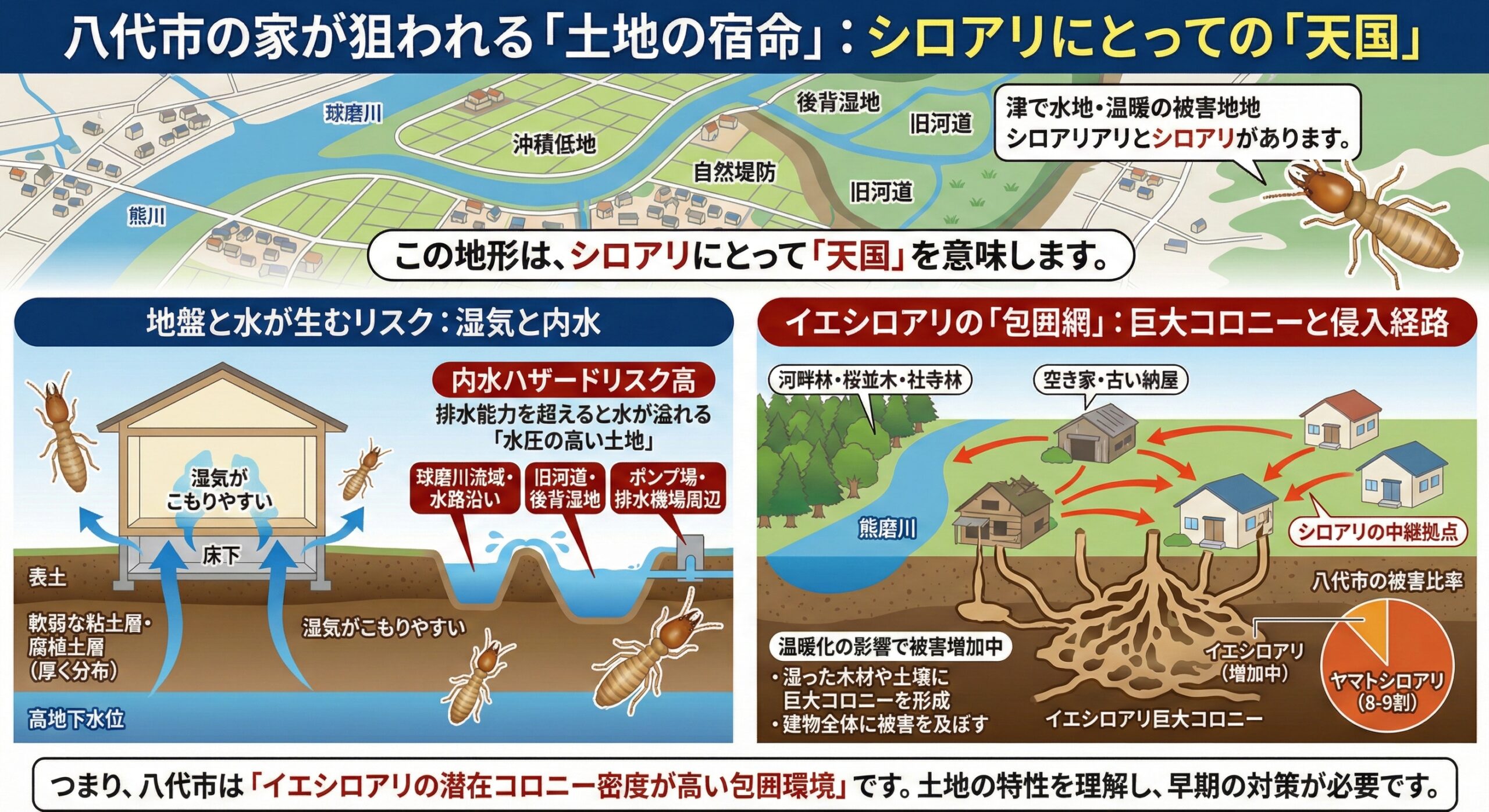 八代市の家が狙われる「土地の宿命」シロアリにとっての天国