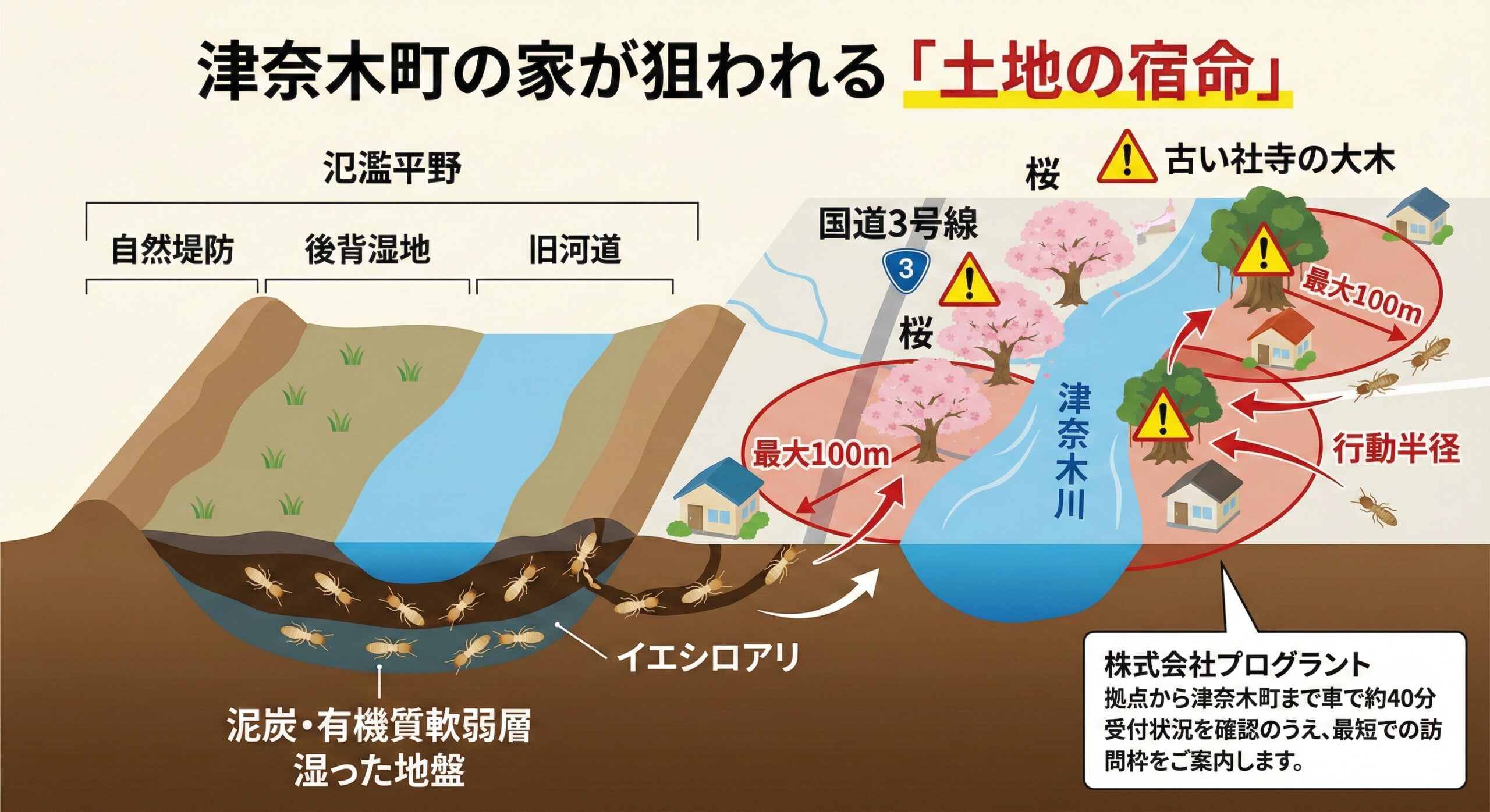 津奈木町の家が狙われる土地の宿命