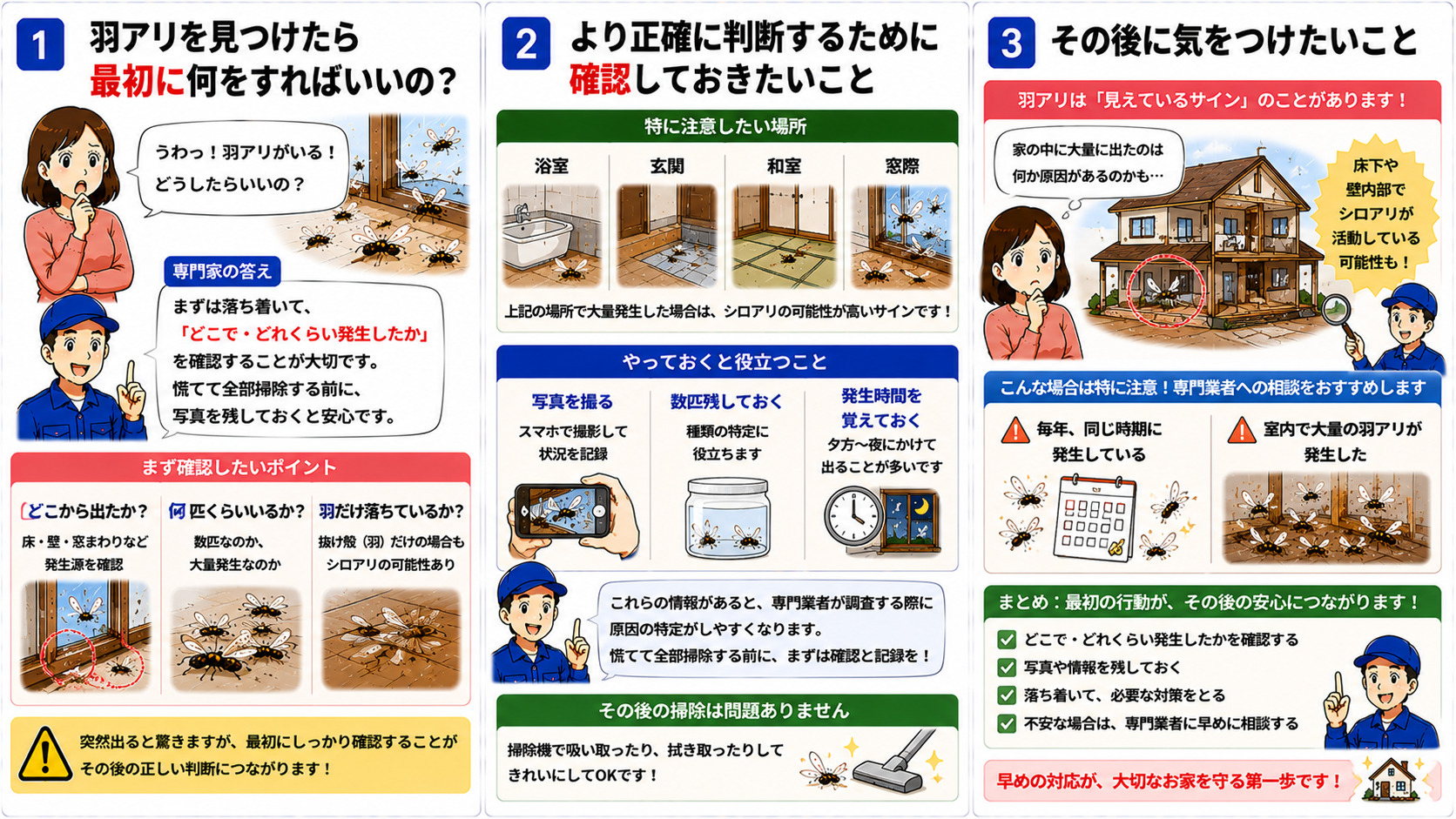 羽アリを見つけた時に最初に行うべき対応を解説する16対9の3コマ漫画。羽アリを見つけたら慌てて掃除する前に、どこから出たか・何匹いるか・羽だけ落ちているかを確認する重要性や、浴室・玄関・和室・窓際など大量発生しやすい場所、写真撮影・数匹残す・発生時間を記録するポイント、その後に掃除機で片付けても問題ないこと、毎年発生や室内大量発生時には床下や壁内部確認も必要であることをイラスト付きで分かりやすく説明している。