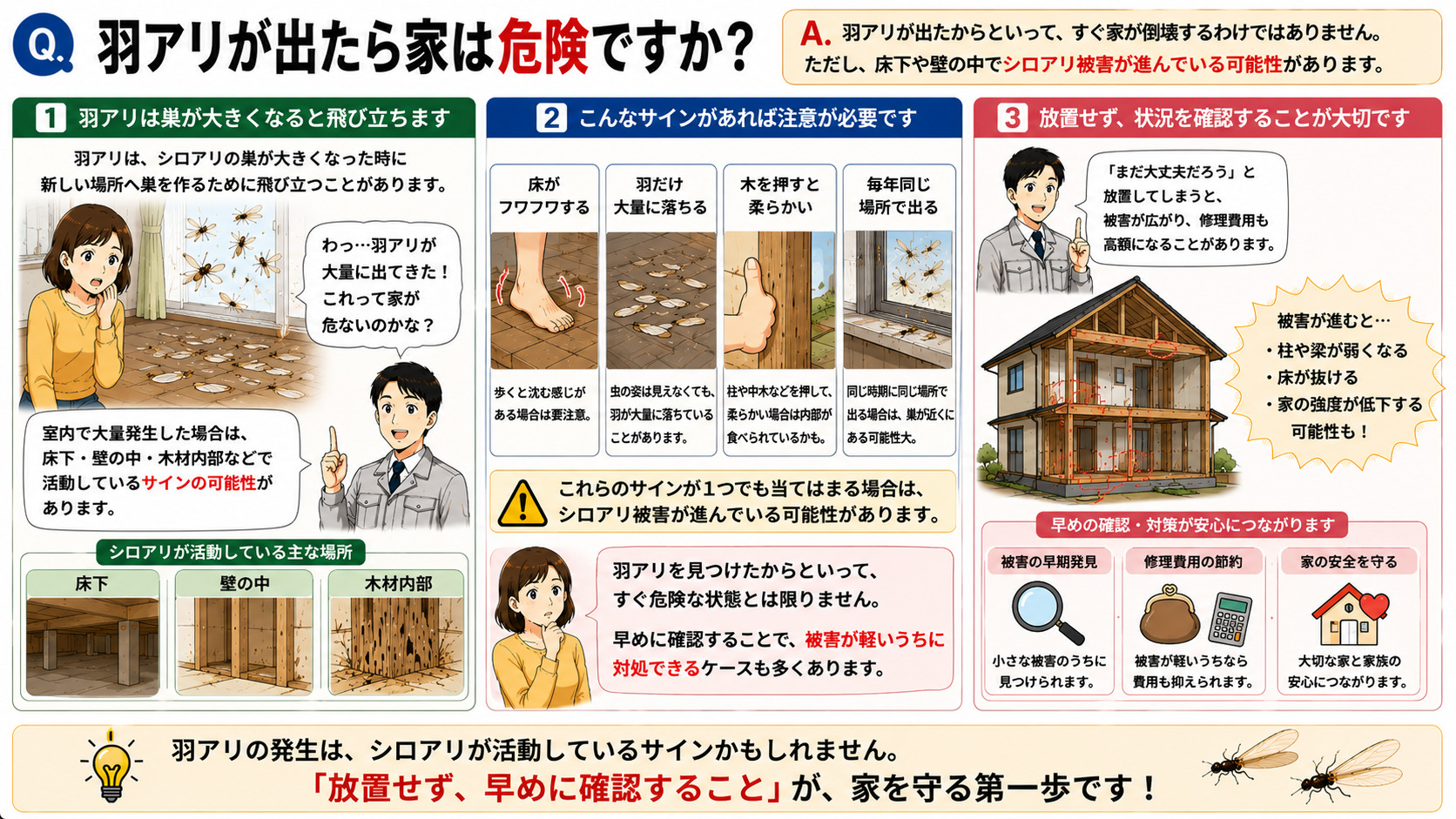 羽アリが出たら家は危険なのかを分かりやすく解説した16対9の3コマ漫画風インフォグラフィック。室内で大量発生した羽アリを見て不安になる女性と、シロアリ被害の可能性を説明する専門家スタッフを描写。床下・壁の中・木材内部で活動しているサインとして、フワフワする床、羽だけ大量に落ちている床、柔らかくなった木部、毎年同じ場所で発生するケースを図解。『羽アリが出た＝すぐ倒壊』ではないが、放置すると被害が広がる可能性があることや、早めの確認で被害が軽いうちに対処できるケースが多いことを解説し、『放置せず早めに確認することが大切』と伝えるシロアリ注意喚起画像
