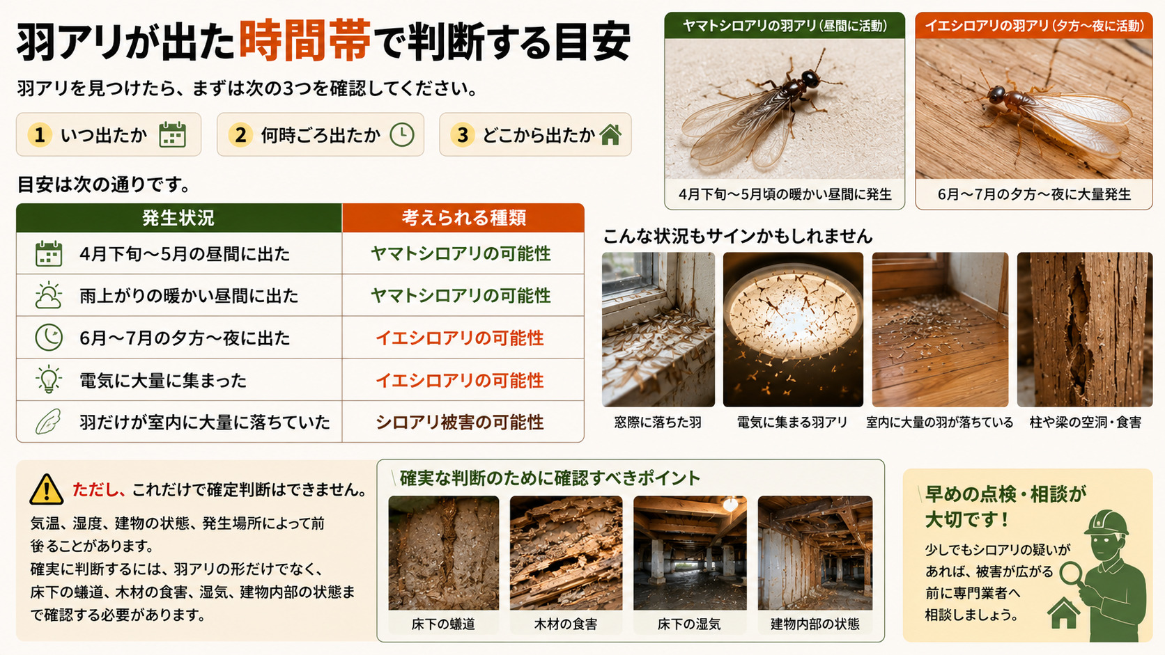 羽アリが出た時間帯で判断する目安を解説した16対9のシロアリ比較インフォグラフィック。4月下旬から5月の昼間や雨上がりの暖かい昼間に出た羽アリはヤマトシロアリの可能性、6月から7月の夕方から夜に出た羽アリや電気に大量に集まった場合はイエシロアリの可能性があることを表で解説。窓際に落ちた羽、電灯に集まる羽アリ、室内に大量に落ちた羽、柱や梁の空洞被害、床下の蟻道や木材食害などの写真も掲載し、早めの点検と専門業者への相談を呼びかける熊本向けシロアリ注意喚起画像
