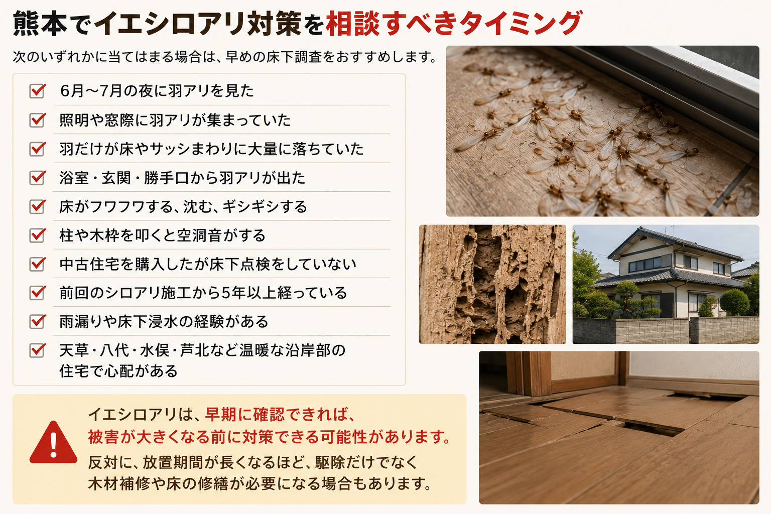 熊本でイエシロアリ対策を相談すべき羽アリ発生時期や床の沈み・空洞音・沿岸部住宅の注意サインを解説する内容