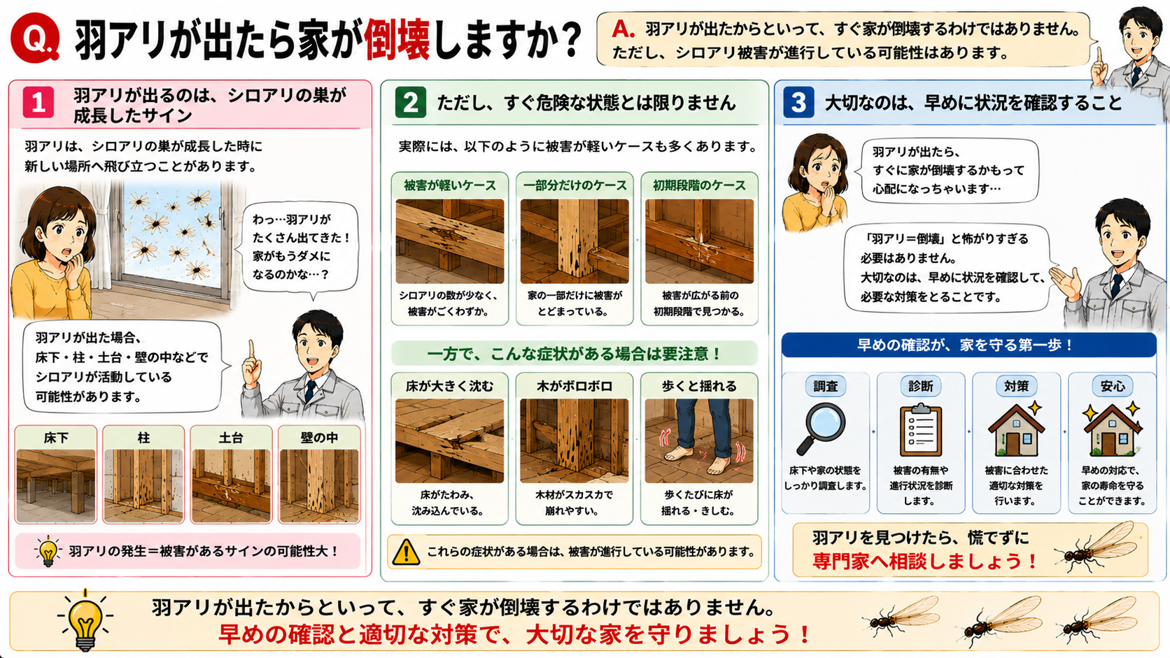 羽アリが出たら家が倒壊するのかを分かりやすく解説した16対9の3コマ漫画風インフォグラフィック。室内で大量発生した羽アリを見て不安になる女性と、シロアリ被害の可能性を説明する専門家スタッフを描写。床下・柱・土台・壁の中でシロアリが活動している可能性や、被害が軽いケース、一部分だけのケース、初期段階のケースもあることを図解。床が大きく沈む、木がボロボロ、歩くと揺れるなど被害が進んでいるサインを紹介し、『羽アリ＝すぐ倒壊』と怖がりすぎず、早めに状況を確認することが大切であると伝えるシロアリ注意喚起画像