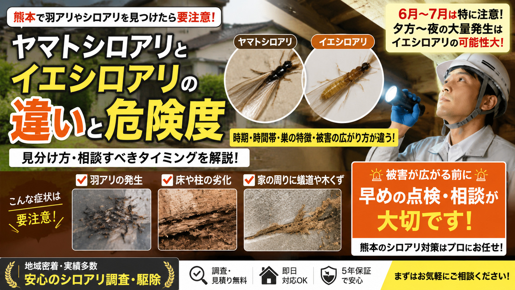 熊本で羽アリやシロアリを見つけた方へ向けたヤマトシロアリとイエシロアリの違いを解説する広告風バナー。羽アリの比較写真、床下調査を行う作業員、シロアリ被害の写真を掲載し、発生時期・危険度・見分け方・相談タイミングを紹介