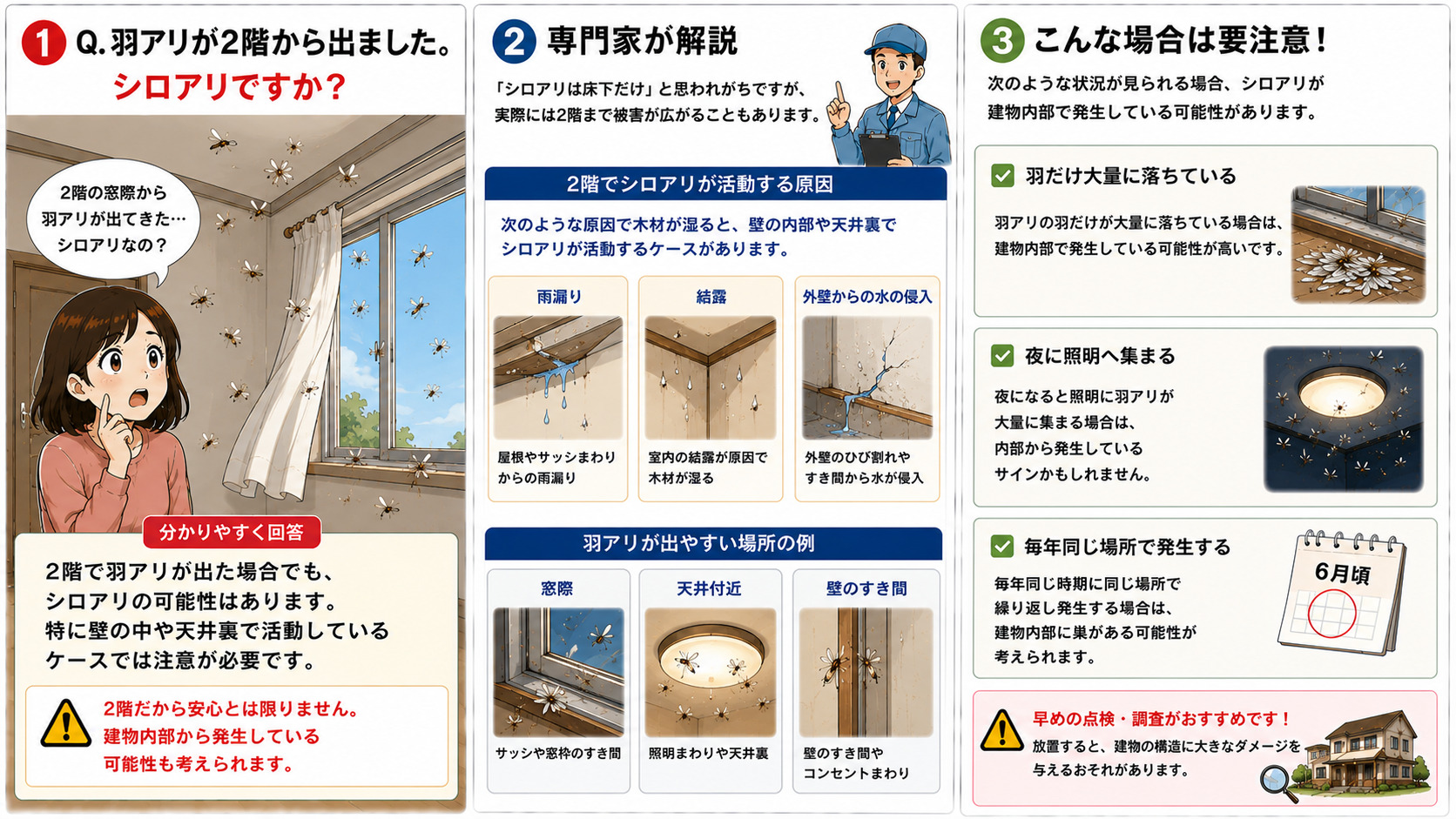 2階から羽アリが出てシロアリか不安になる女性を描いた16対9の3コマ漫画。シロアリは床下だけでなく、雨漏り・結露・外壁からの水の侵入により木材が湿ると、壁の内部や天井裏で活動する場合があることを専門家が解説。窓際・天井付近・壁のすき間から羽アリが出るケースや、羽だけが大量に落ちている、夜に照明へ集まる、毎年同じ場所で発生する場合の注意点を分かりやすく伝えるシロアリ対策インフォグラフィック