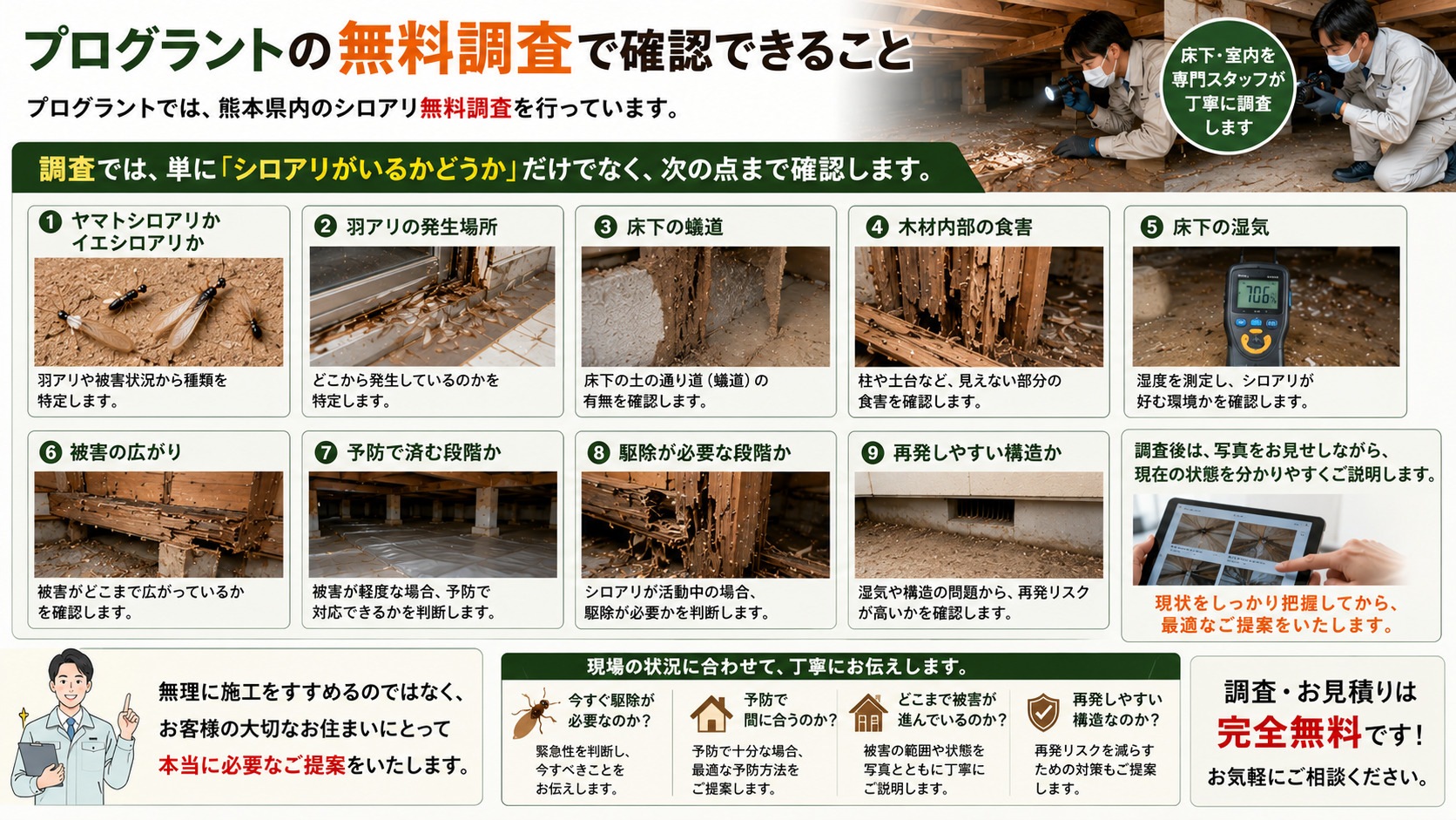 プログラントの熊本県内シロアリ無料調査で確認できる内容を解説した16対9の画像。ヤマトシロアリかイエシロアリか、羽アリの発生場所、床下の蟻道、木材内部の食害、床下の湿気、被害の広がり、予防で済む段階か駆除が必要な段階か、再発しやすい構造かを写真付きで紹介。調査後に写真を見せながら現状を分かりやすく説明し、無理に施工をすすめず、今すぐ駆除が必要か予防で間に合うかを現場に合わせて提案することを伝える