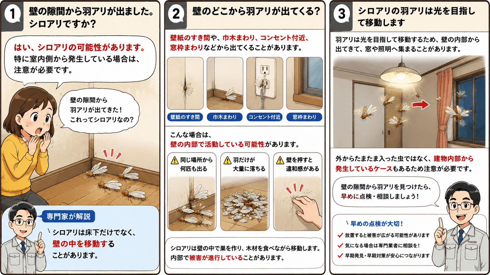 壁の隙間から羽アリが出た場合に、シロアリの可能性や壁内部での移動、窓や照明へ集まる習性、早めの点検の必要性を解説した3コマ漫画。