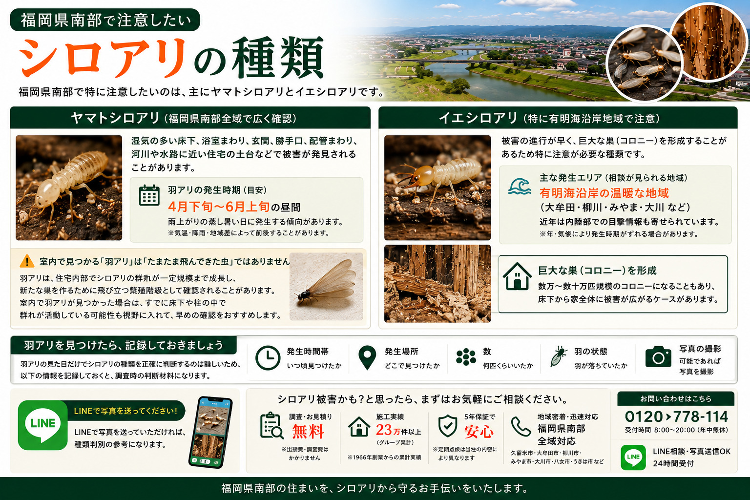 福岡県南部で注意したいシロアリの種類を解説した画像。ヤマトシロアリとイエシロアリの特徴や発生時期、有明海沿岸地域での注意点、羽アリ発見時のリスクを比較し、羽アリの写真撮影や発生場所・時間帯の記録方法、LINE相談による種類確認の流れを紹介