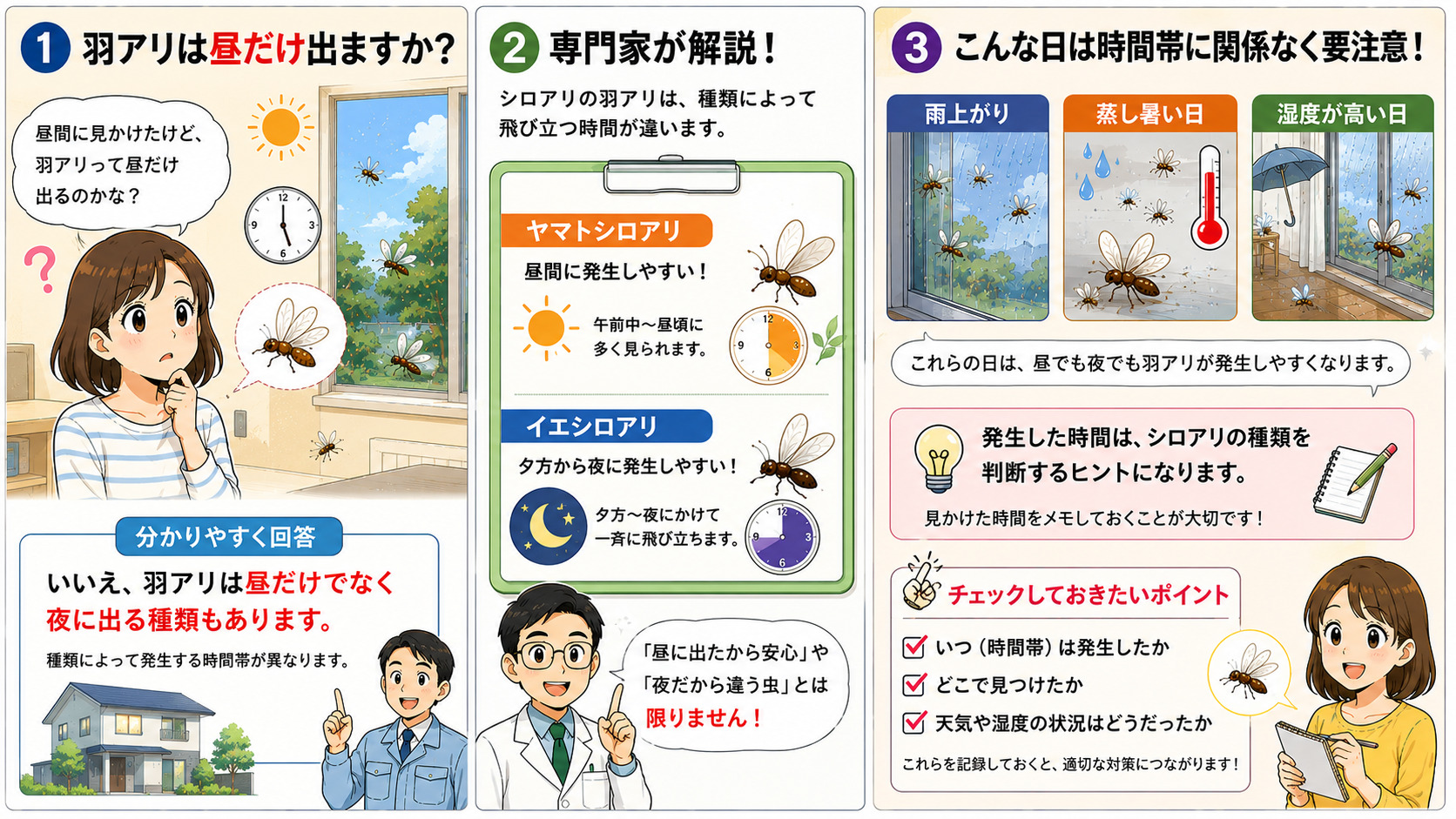 シロアリQ＆A｜熊本・佐賀・福岡のシロアリ駆除専門プログラントの解説画像