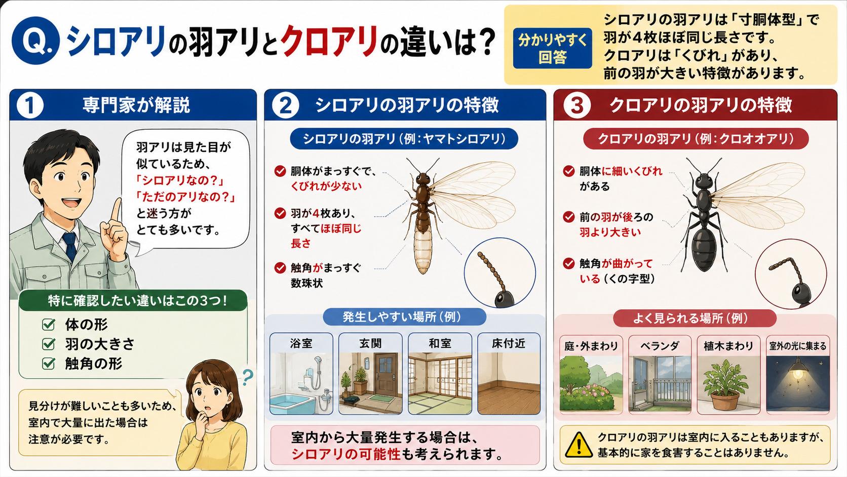 シロアリの羽アリとクロアリの羽アリの違いを分かりやすく比較解説した16対9の3コマ漫画風インフォグラフィック。シロアリの羽アリは寸胴体型で羽4枚がほぼ同じ長さ、触角がまっすぐな特徴を持ち、浴室・玄関・和室・床付近など湿気が多い場所で大量発生しやすいことを図解。クロアリの羽アリは細いくびれがあり、前の羽が後ろより大きく、触角が曲がっている特徴を比較表示。体の形・羽の大きさ・触角の形の違いをイラスト付きで解説し、室内側から大量発生している場合はシロアリの可能性もあるため注意が必要であることを伝える害虫比較画像