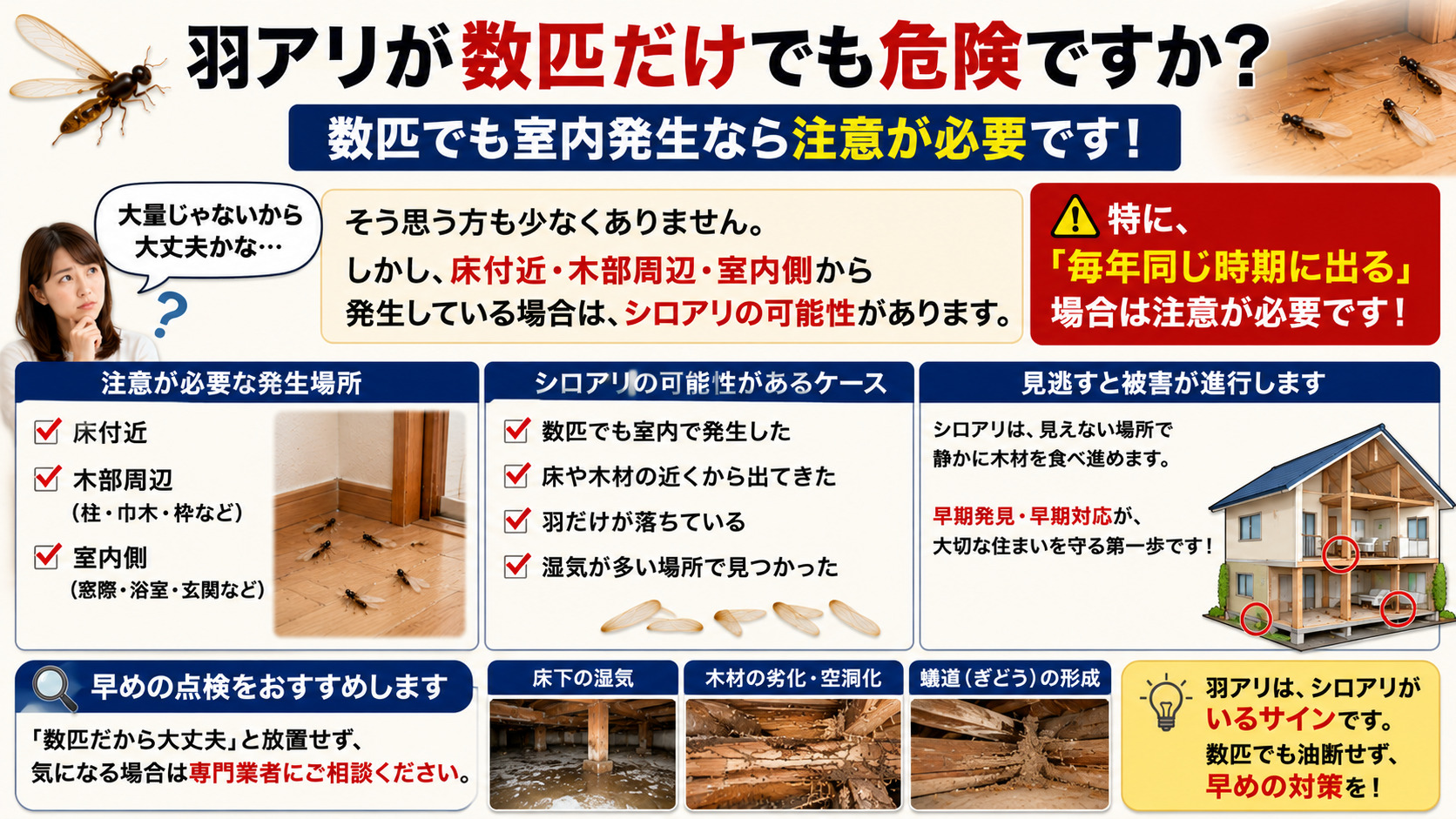 羽アリが数匹だけでも危険かを解説したシロアリ注意喚起インフォグラフィック。床付近や木部周辺、室内側で発生した羽アリ、毎年同じ時期に出るケース、羽だけが落ちている状況など、少数でも注意が必要なシロアリサインを分かりやすく紹介