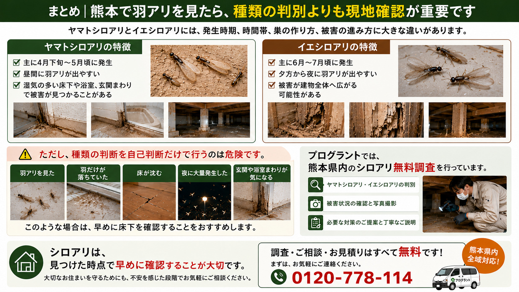 熊本で羽アリを見たら種類の判別よりも現地確認が重要であることを解説した16対9のまとめ画像。ヤマトシロアリは4月下旬から5月頃の昼間に発生し、湿気の多い床下や浴室、玄関まわりで被害が見つかりやすいこと、イエシロアリは6月から7月頃の夕方から夜に発生し、建物全体へ被害が広がる可能性があることを写真付きで紹介。羽アリ、落ちた羽、床の沈み、夜の大量発生、玄関や浴室まわりの劣化がある場合は早めの床下確認が重要で、プログラントの熊本県内シロアリ無料調査で種類判別、被害状況、必要な対策を丁寧に説明することを伝える