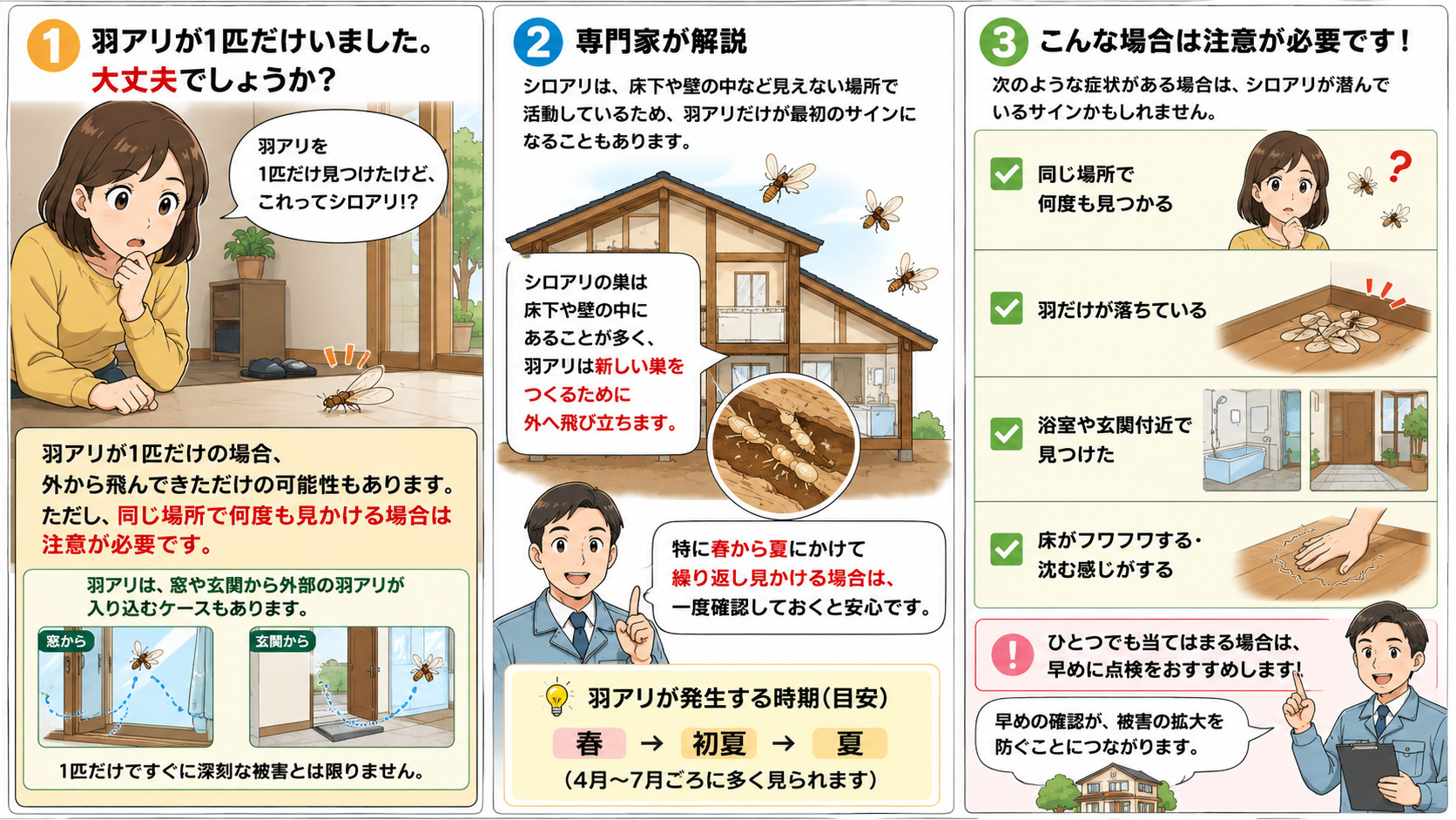 シロアリQ＆A｜熊本・佐賀・福岡のシロアリ駆除専門プログラントの解説画像