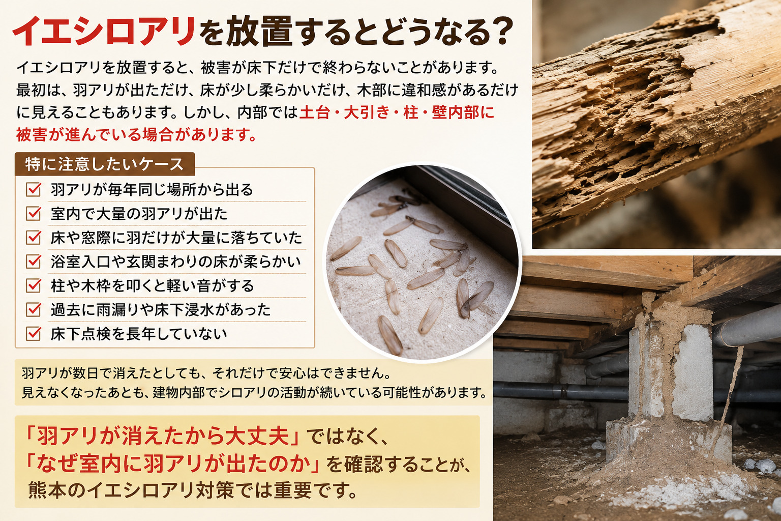 熊本でイエシロアリを放置した場合に起こる床下被害や羽アリ大量発生の危険サインを解説し早期点検を促す内容