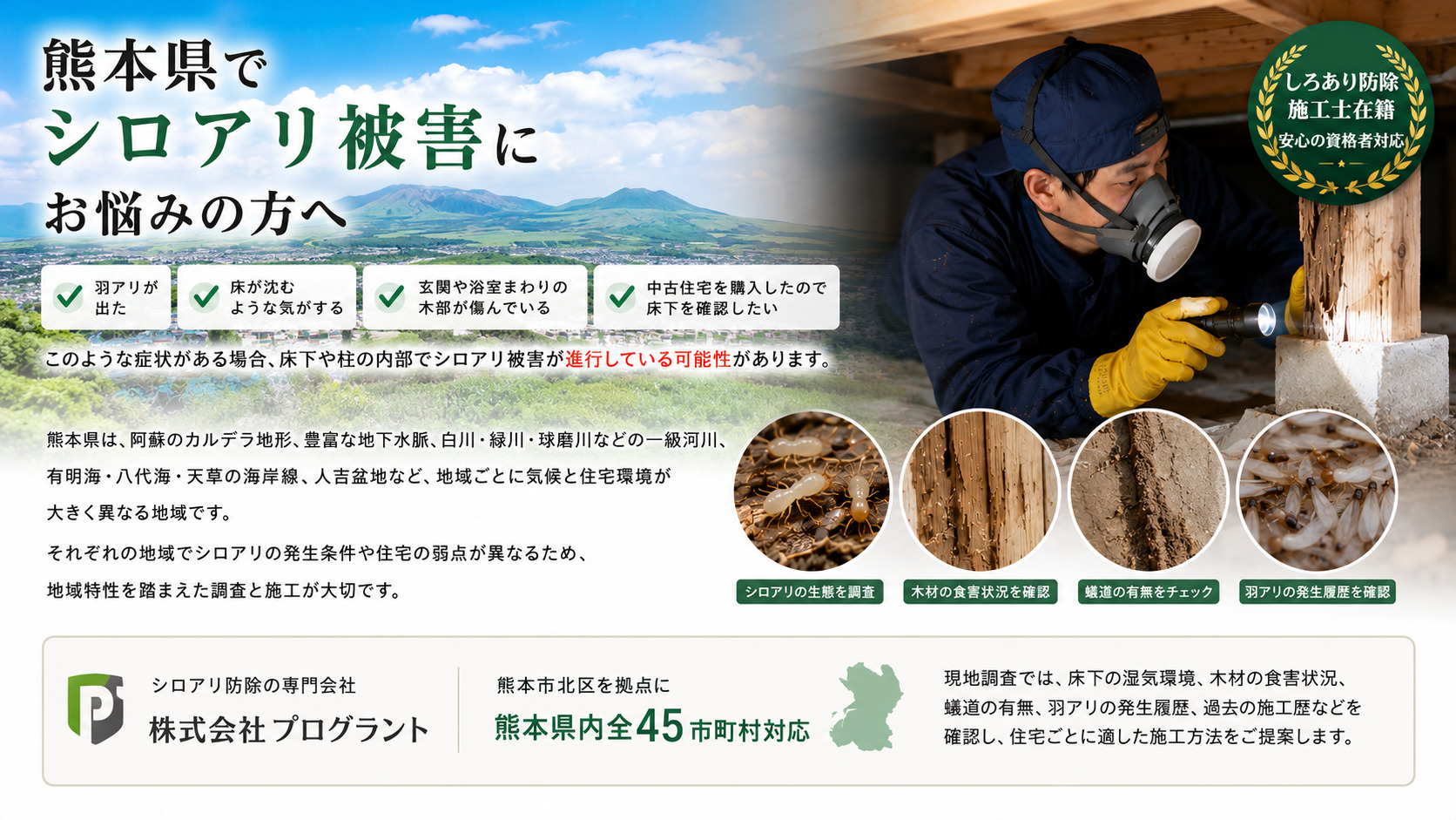 熊本県でシロアリ被害にお悩みの方へ。床下で木材や蟻道を調査する株式会社プログラントのシロアリ防除施工士。羽アリ・床の沈み・玄関や浴室まわりの木部の傷み・中古住宅購入時の床下確認など、熊本県内45市町村対応のシロアリ調査・駆除イメージ
