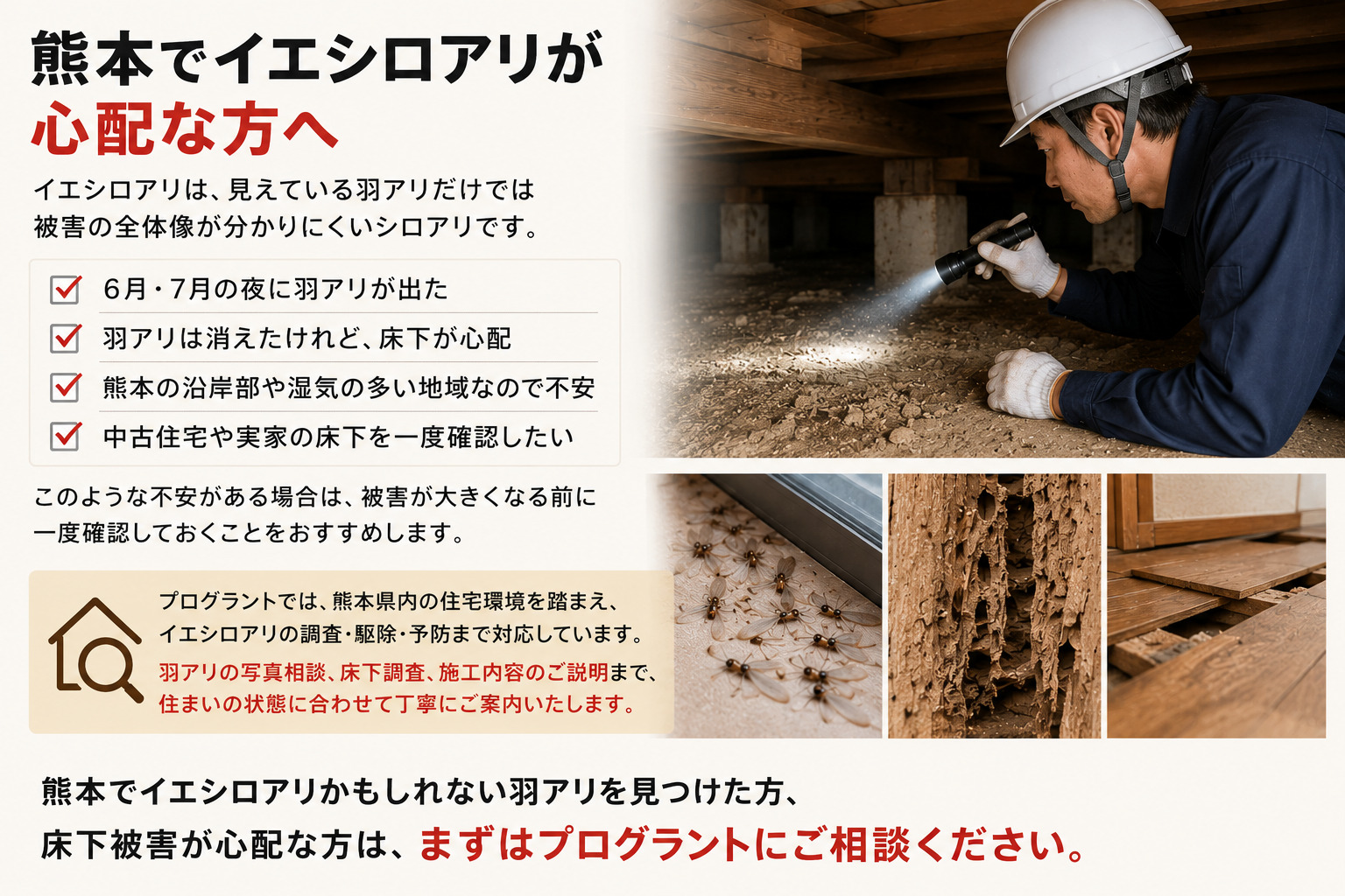 熊本でイエシロアリの羽アリや床下被害が心配な方へプログラントの調査・駆除・予防相談を促す内容