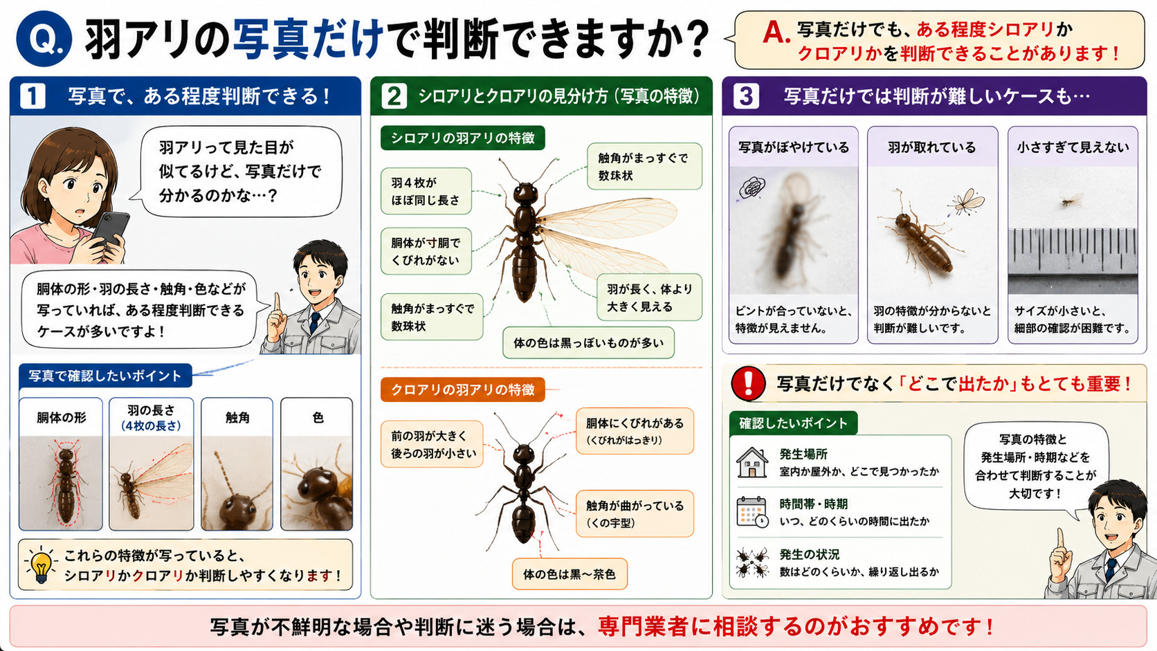 羽アリの写真だけでシロアリかクロアリか判断できるのかを分かりやすく解説した16対9の比較インフォグラフィック。スマホで羽アリを撮影している様子とともに、胴体の形・羽4枚の長さ・触角・色など写真で確認したいポイントを図解。シロアリの羽アリは寸胴体型で羽4枚がほぼ同じ長さ、羽が長い特徴を持ち、クロアリの羽アリは細いくびれがあり前の羽が大きい違いを比較表示。写真がぼやけている、羽が取れている、小さすぎて見えない場合は判別が難しいケースもあることを説明し、発生場所や時間帯も重要な判断材料になることを伝える羽アリ判別解説画像