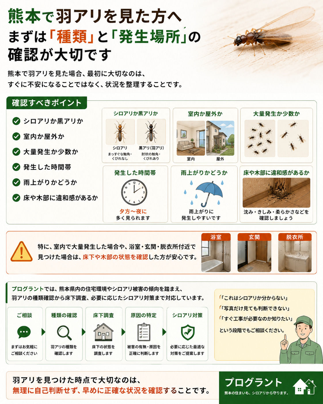 熊本で羽アリを見た際に、シロアリか黒アリか、室内か屋外か、大量発生か少数か、雨上がりや床・木部の違和感など確認すべきポイントを解説した画像