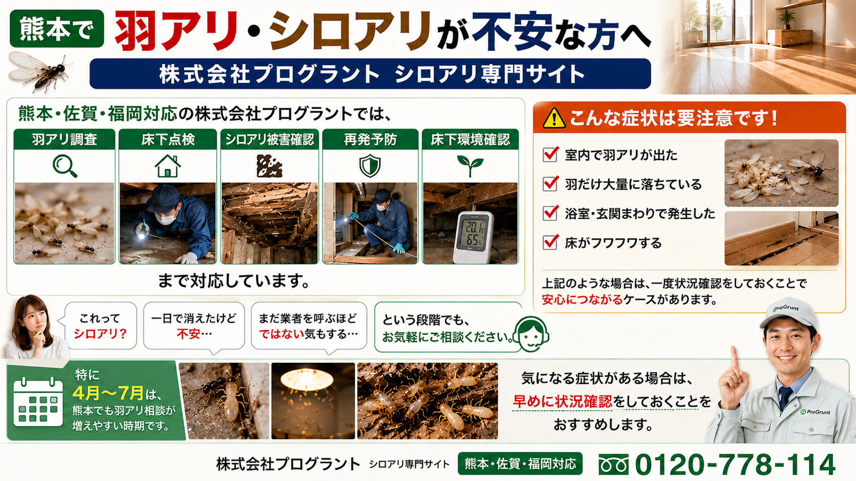 熊本で羽アリやシロアリ被害が不安な方向けの株式会社プログラント案内インフォグラフィック。羽アリ調査、床下点検、シロアリ被害確認、再発予防、床下環境確認の対応内容や、室内発生・羽だけ大量落下・床のフワフワ感などの注意サインを紹介し、0120-778-114への相談導線を掲載