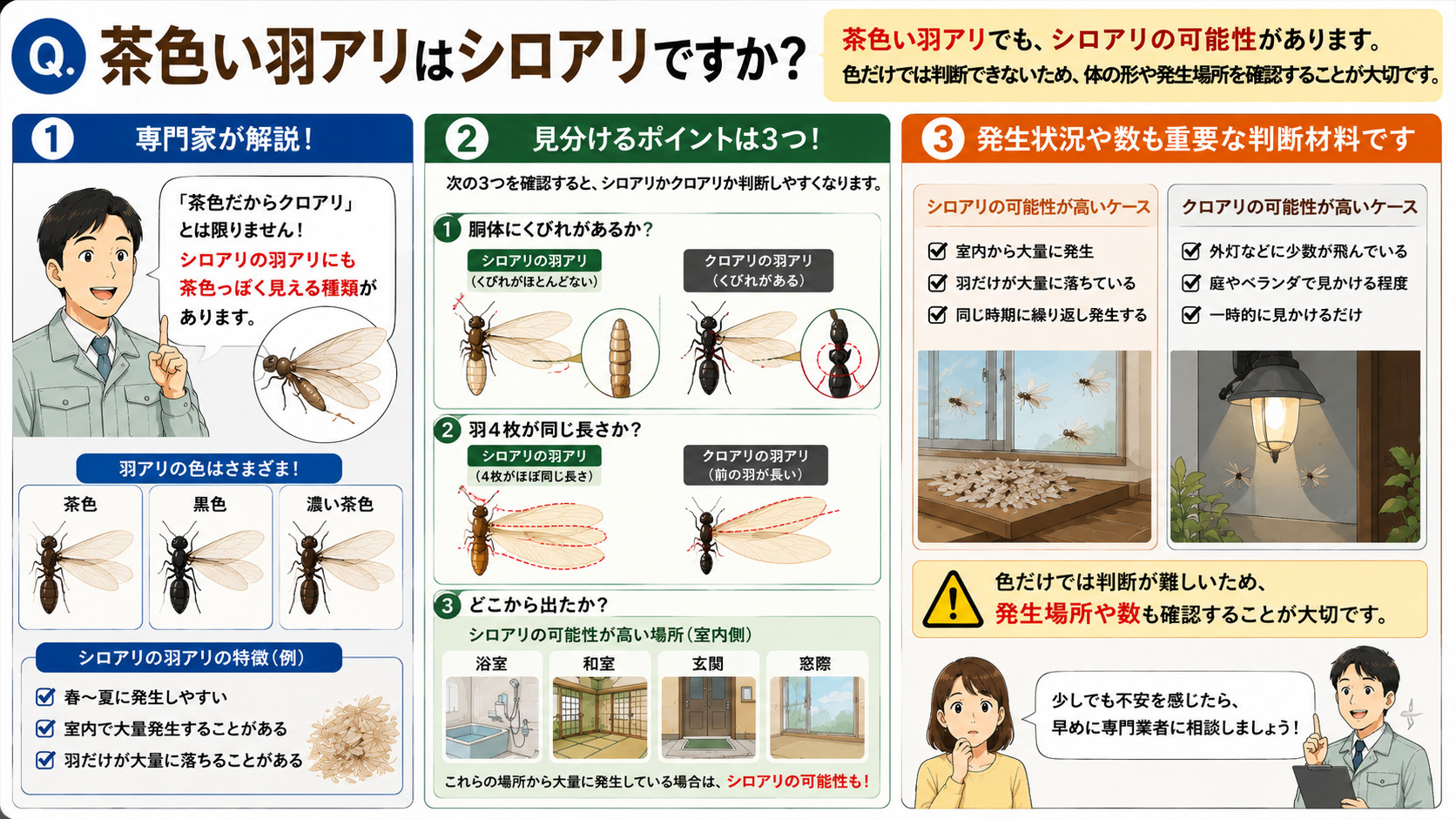茶色い羽アリはシロアリなのかを分かりやすく解説した16対9の比較インフォグラフィック。茶色・黒色・濃い茶色など羽アリの色の違いをイラスト付きで紹介し、茶色い羽アリでもシロアリの可能性があることを説明。シロアリとクロアリの見分け方として、胴体のくびれ、羽4枚の長さ、発生場所を比較表示し、室内で大量発生するケースや羽だけ大量に落ちる症状を図解。浴室・和室・玄関・窓際など湿気が多い場所で発生している場合はシロアリの可能性もあることを伝え、色だけでは判断できないため発生場所や数の確認が大切であることを解説した羽アリ比較画像