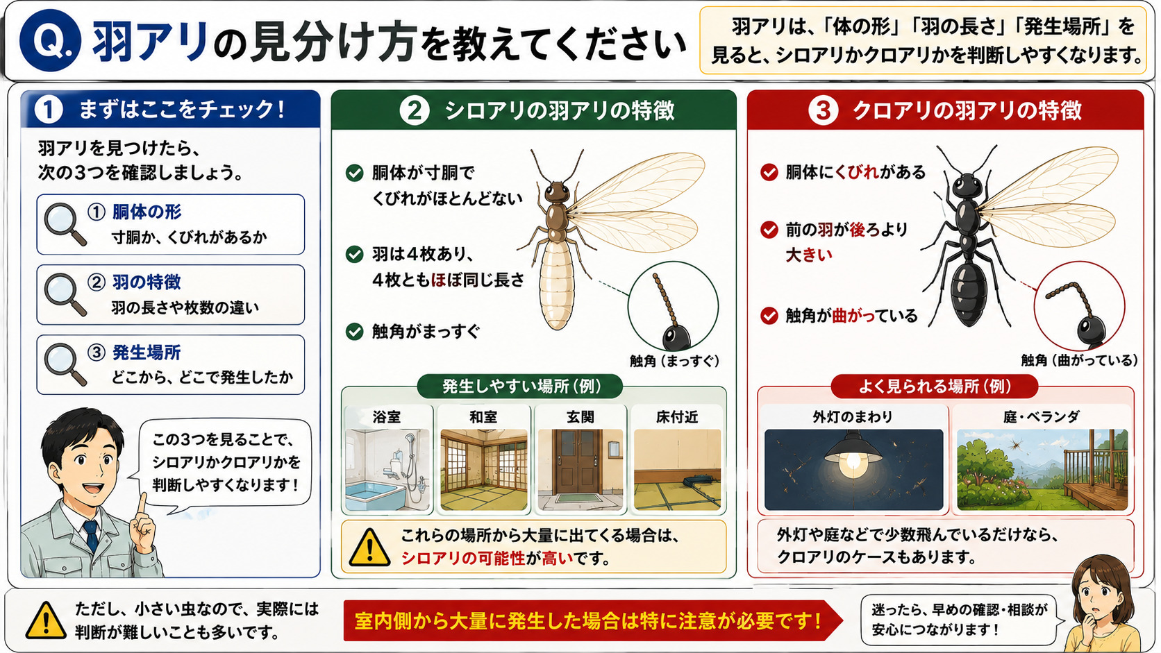 "羽アリの見分け方を分かりやすく解説した16対9の比較インフォグラフィック。シロアリの羽アリとクロアリの羽アリの違いを『体の形』『羽の長さ』『発生場所』で比較し、シロアリは寸胴体型で羽4枚がほぼ同じ長さ、触角がまっすぐな特徴をイラスト付きで紹介。クロアリは細いくびれがあり、前の羽が大きく、触角が曲がっている特徴を解説。浴室・和室・玄関・床付近などから大量発生する場合はシロアリの可能性があることや、外灯・庭・ベランダで少数飛んでいる場合はクロアリのケースもあることを説明し、室内で大量発生した場合は注意が必要であることを伝える羽アリ比較画像"