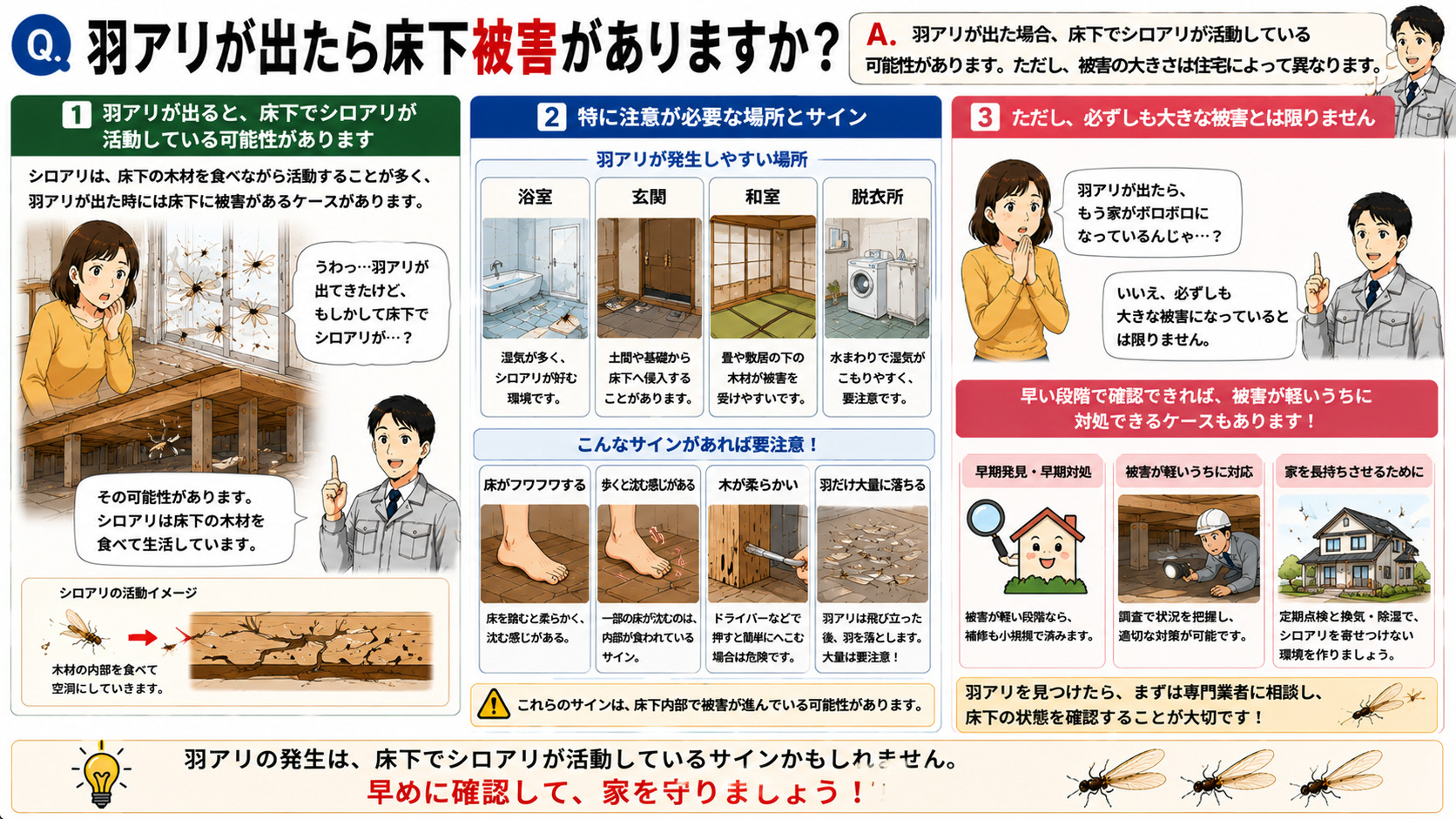 羽アリが出たら床下被害があるのかを分かりやすく解説した16対9の3コマ漫画風インフォグラフィック。室内で羽アリを見つけて不安になる女性と、床下でシロアリが活動している可能性を説明する専門家スタッフを描写。浴室・玄関・和室・脱衣所など被害が出やすい場所を図解し、床がフワフワする、歩くと沈む感じがある、木が柔らかい、羽だけ大量に落ちるなどの注意サインをイラスト付きで紹介。シロアリは床下の木材を食べながら活動する特徴や、羽アリが出ても必ず大きな被害とは限らず、早い段階で確認すれば軽いうちに対処できるケースもあることを説明し、『早めの確認が大切』と伝えるシロアリ床下被害解説画像