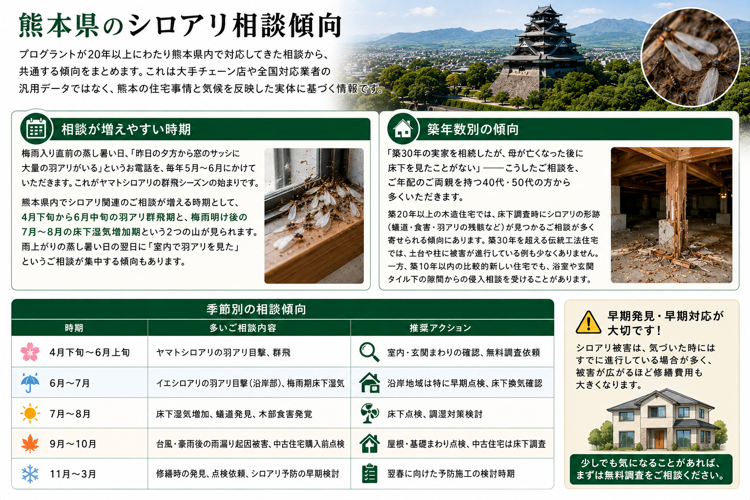 熊本県のシロアリ相談傾向を解説した画像。羽アリ相談が増える4月下旬から6月中旬の群飛期、梅雨明け後の床下湿気増加、築20年以上の木造住宅で増える蟻道や食害相談、季節別のシロアリ被害傾向と推奨対策をインフォグラフィック形式で紹介