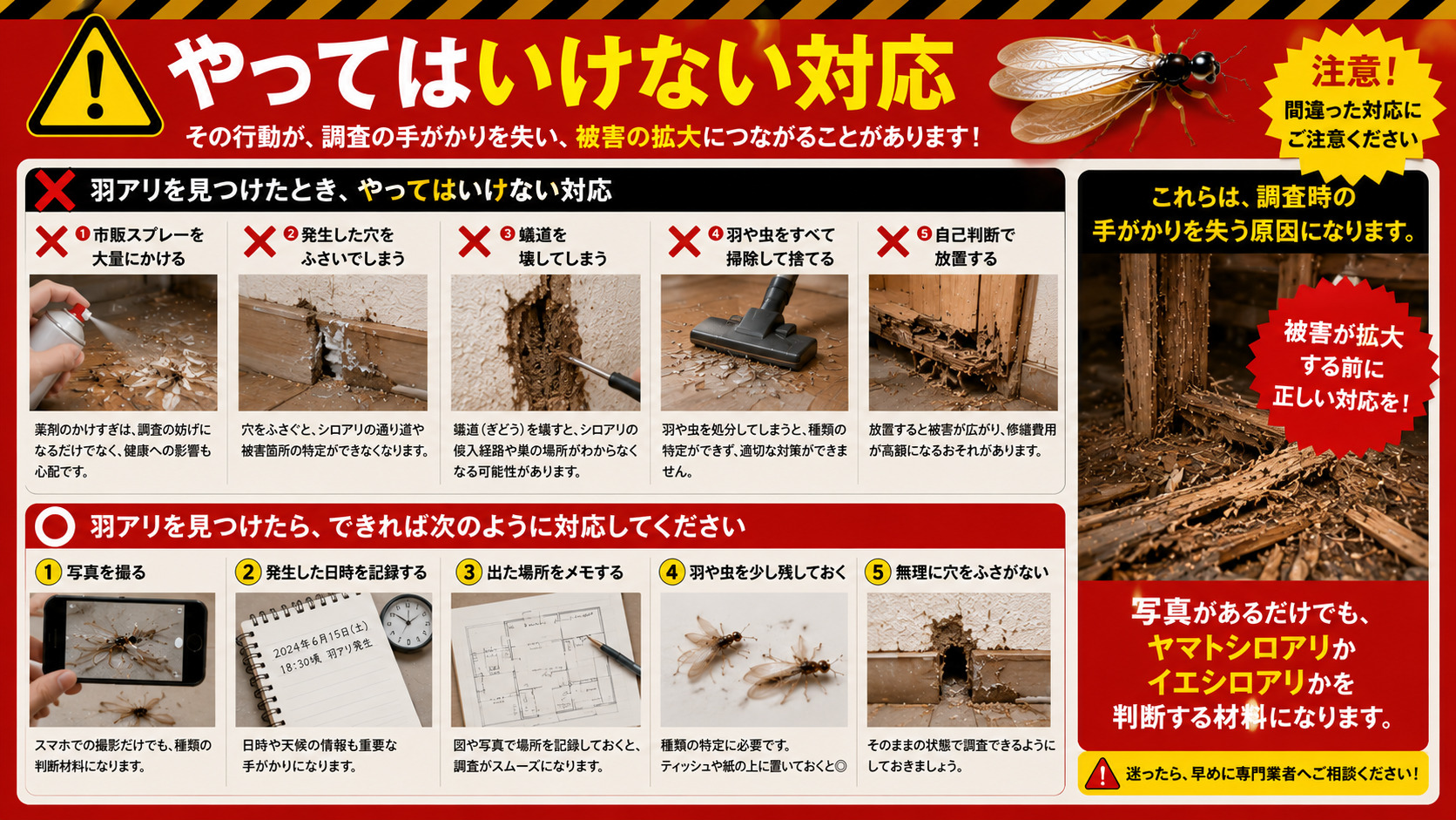 羽アリを見つけたときにやってはいけない対応を警告する16対9の画像。市販スプレーを大量にかける、発生した穴をふさぐ、蟻道を壊す、羽や虫をすべて掃除して捨てる、自己判断で放置する行為は調査の手がかりを失う原因になることを赤・黄・黒の危険色で強調。羽アリを見つけたら写真を撮る、発生日時を記録する、出た場所をメモする、羽や虫を少し残す、無理に穴をふさがないことが大切で、ヤマトシロアリかイエシロアリかを判断する材料になることを伝える注意喚起