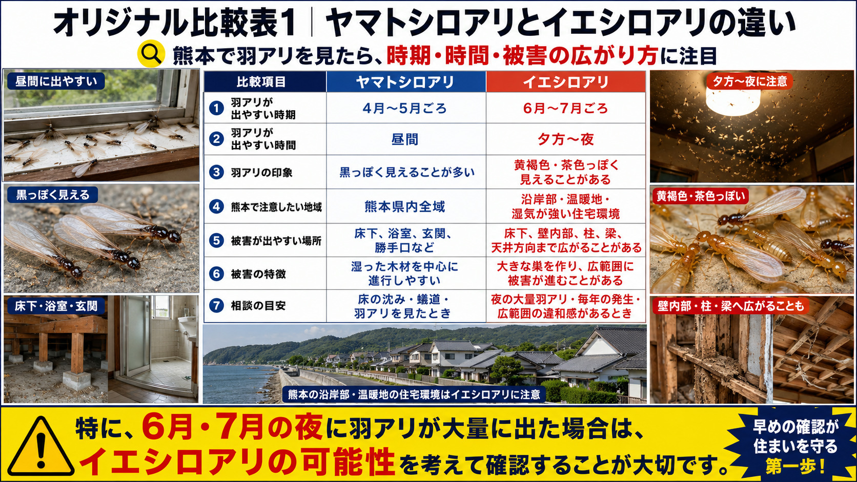 熊本で羽アリを見つけた際にヤマトシロアリとイエシロアリの時期・時間・被害の違いを比較解説した画像