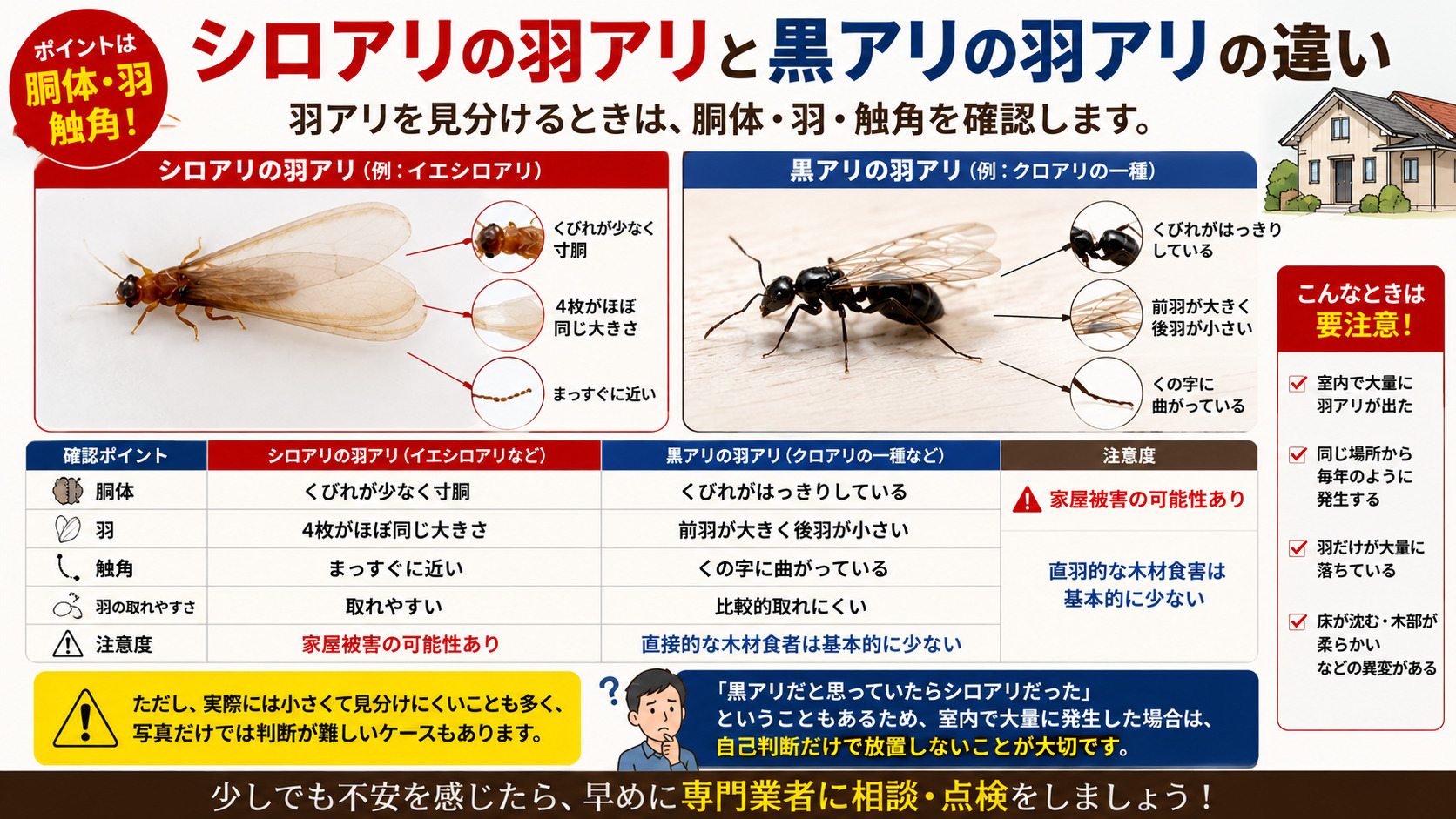 シロアリの羽アリと黒アリの羽アリの違いを、胴体のくびれ・羽の大きさ・触角の形・注意すべき発生状況ごとに比較解説した画像