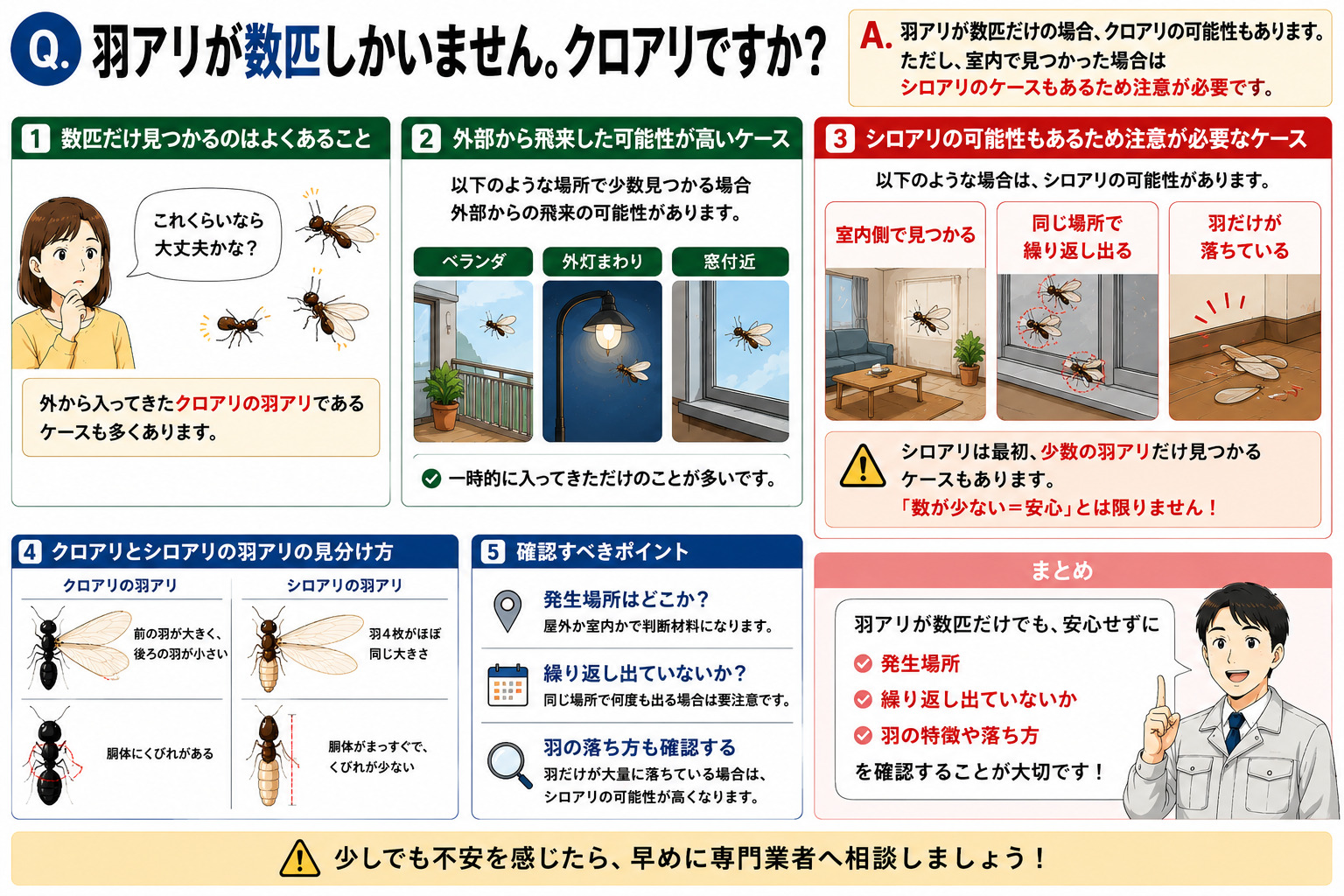 羽アリが数匹しかいない場合はクロアリなのかを分かりやすく解説した16対9の比較インフォグラフィック。ベランダ・外灯まわり・窓付近で少数飛んでいる羽アリは外部から飛来したクロアリの可能性があることをイラスト付きで紹介。一方で、室内側で見つかる、同じ場所で繰り返し発生する、羽だけが落ちている場合はシロアリの可能性もあるため注意が必要であることを図解。『数が少ない＝安心』ではないことや、発生場所や羽の落ち方も重要な判断材料であることを伝える羽アリ見分け方解説画像