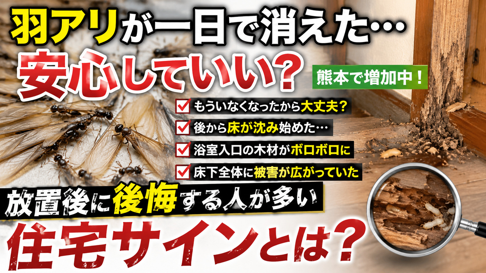 羽アリが一日で消えた後にシロアリ被害が進行した熊本の木造住宅イメージ。羽アリ、床下被害、腐食した木材、シロアリ被害の拡大、放置後に後悔する住宅サインを解説する注意喚起サムネイル画像
