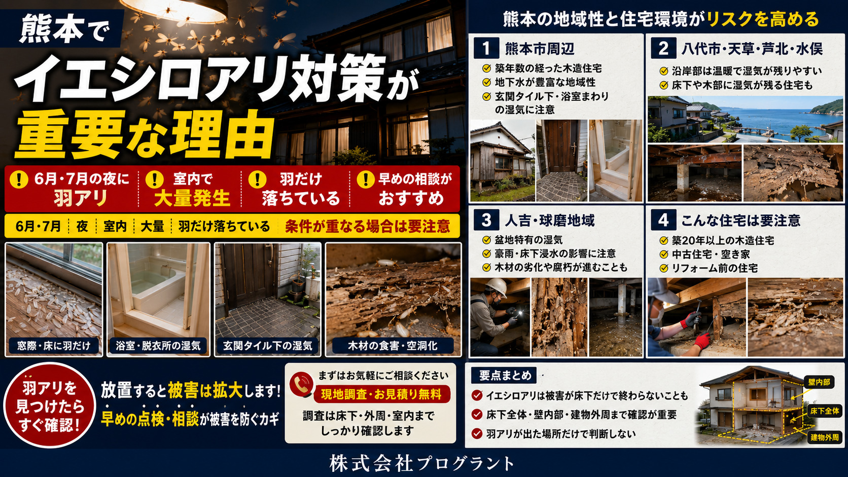 熊本で6月・7月の夜に羽アリが大量発生した際に注意したいイエシロアリ被害と住宅環境リスクの解説画像