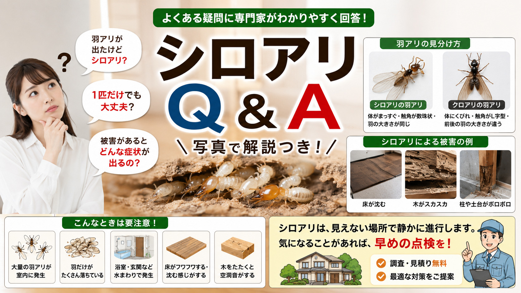 シロアリQ&Aを写真付きで分かりやすく解説したサムネイル画像...