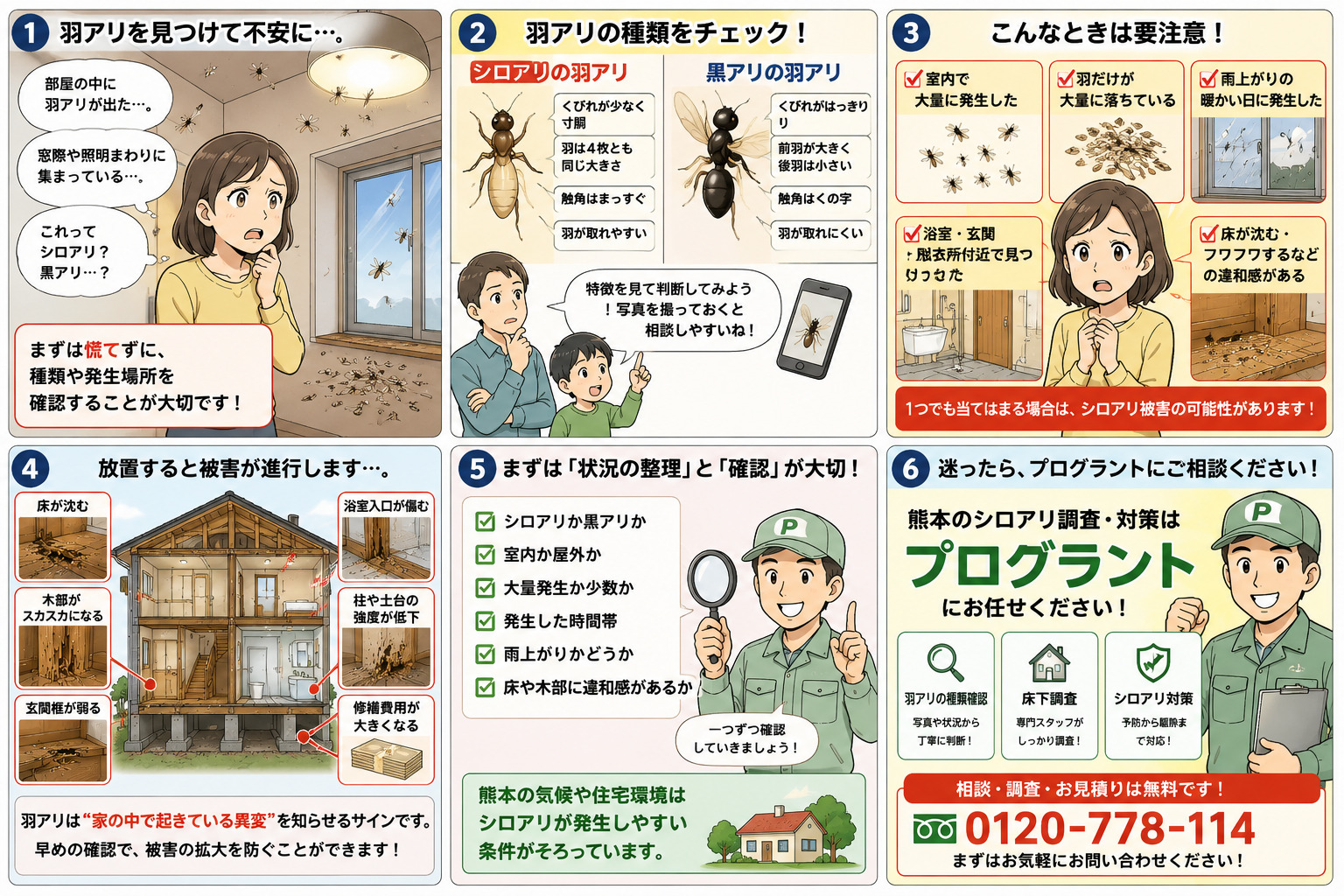 熊本の住宅で羽アリを見つけた家族が、シロアリか黒アリか分からず不安になり、発生場所や危険サインを確認してプログラントへ相談する流れを6コマで解説した漫画画像