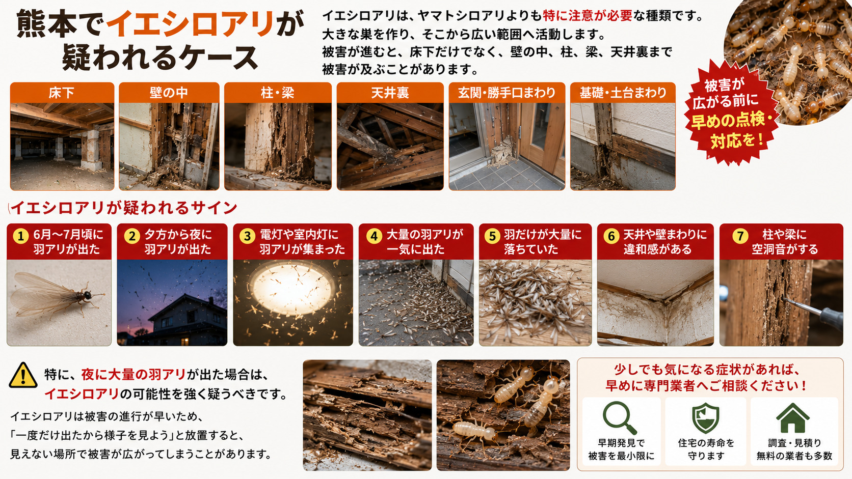 熊本でイエシロアリが疑われるケースを解説した16対9の画像。床下、壁の中、柱や梁、天井裏、玄関や勝手口まわり、基礎や土台まわりなど、イエシロアリ被害が広がりやすい場所を写真で紹介。6月から7月頃の羽アリ発生、夕方から夜の羽アリ、電灯や室内灯への飛来、大量発生、落ちた羽、天井や壁の違和感、柱や梁の空洞音などのサインを示し、早めの点検と相談の重要性を伝えるシロアリ注意喚起