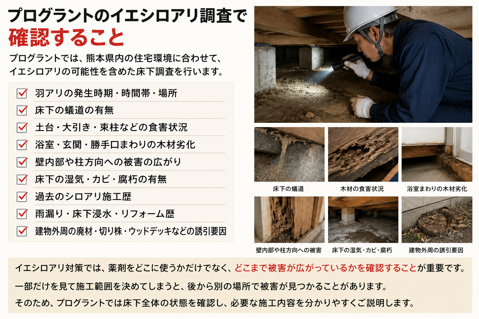 熊本でプログラントが行うイエシロアリ床下調査の確認項目と蟻道・木材食害・湿気・被害範囲を詳しく解説する内容