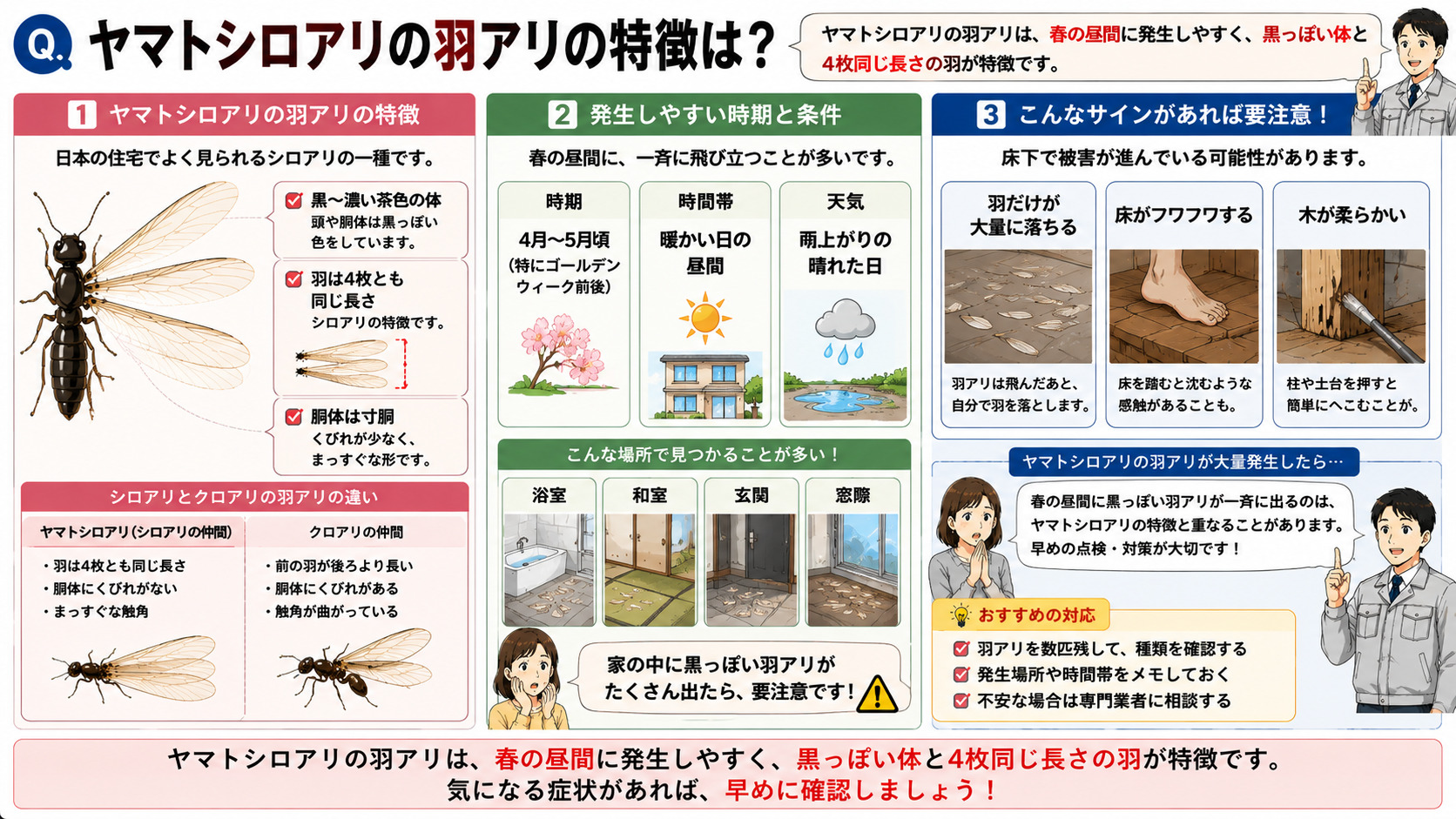 ヤマトシロアリの羽アリの特徴を分かりやすく解説した16対9の3コマ漫画風インフォグラフィック。黒〜濃い茶色のヤマトシロアリの羽アリを大きく描写し、羽4枚が同じ長さで寸胴体型の特徴を図解。4月〜5月頃の暖かい昼間や雨上がりに一斉発生しやすい様子をイラスト付きで紹介し、浴室・和室・玄関・窓際などで見つかるケースを説明。床に大量に落ちた羽やフワフワする床、柔らかくなった木部のイメージも掲載し、床下で被害が進行している可能性があることを注意喚起するヤマトシロアリ解説画像