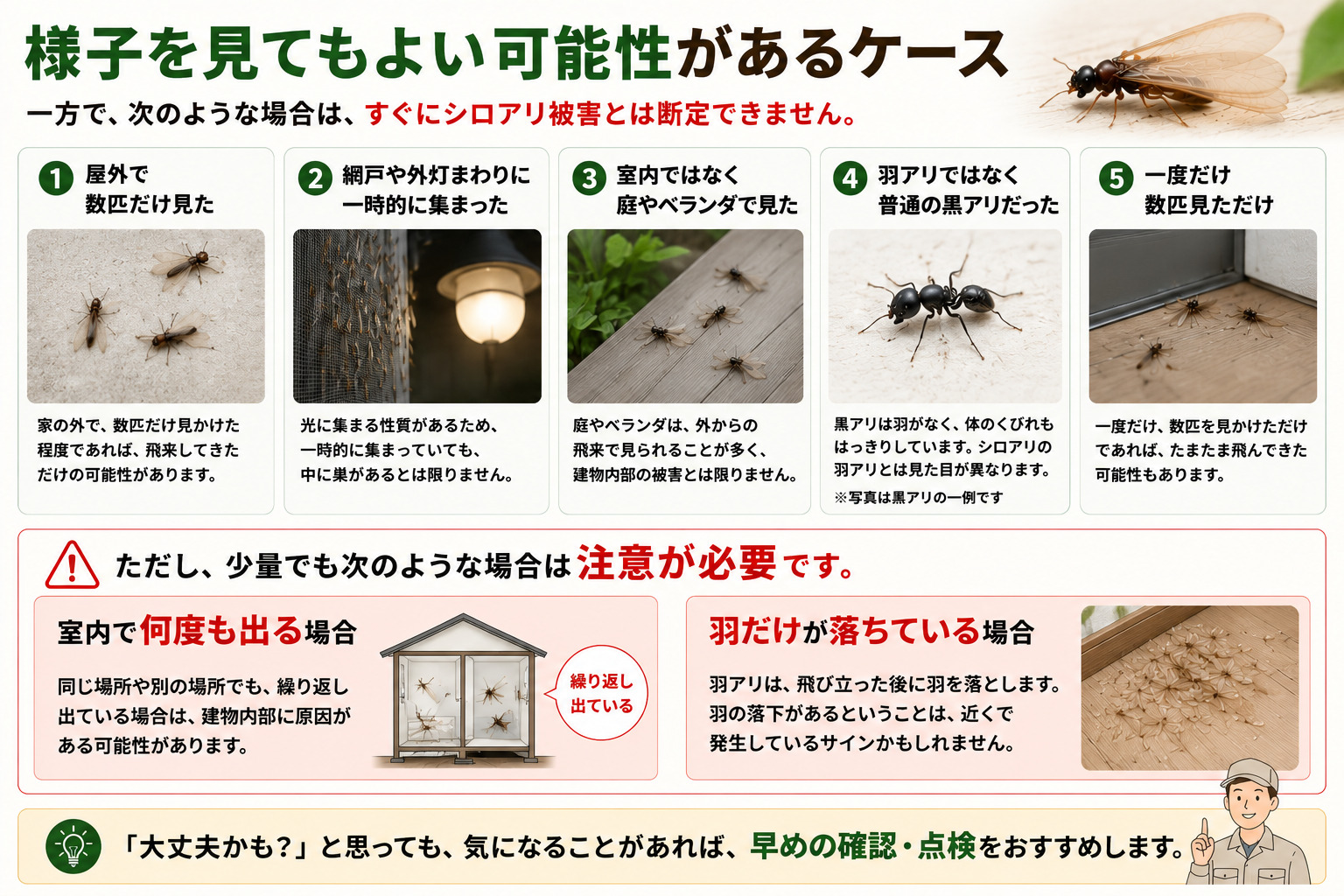 屋外で数匹だけ羽アリを見た場合や、網戸・外灯・庭・ベランダ周辺に一時的に集まった場合など、すぐにシロアリ被害とは断定できないケースと注意点を解説した画像