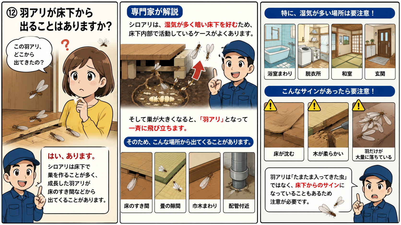 床下から羽アリが発生し、浴室・脱衣所・和室・玄関など湿気の多い場所や床の沈み・羽の大量落下に注意を促すシロアリ解説の3コマ漫画。