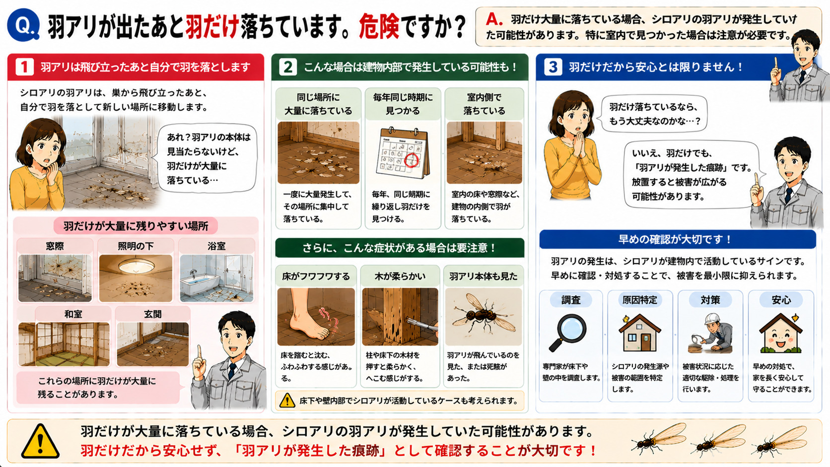 羽アリが出たあと羽だけ大量に落ちている場合の危険性を分かりやすく解説した16対9の3コマ漫画風インフォグラフィック。窓際や室内の床に大量に落ちた羽を見て不安になる女性と、シロアリの羽アリは飛び立ったあと自分で羽を落とす特徴があると説明する専門家スタッフを描写。窓際・照明の下・浴室・和室・玄関など羽だけが残りやすい場所を図解し、同じ場所に大量に落ちている、毎年同じ時期に見つかる、室内側で落ちている場合は建物内部で発生している可能性があることを解説。床がフワフワする、木が柔らかい、羽アリ本体も見た場合は床下や壁内部で活動しているケースも考えられることを説明し、『羽だけだから安心ではなく羽アリ発生の痕跡として確認が大切』と伝えるシロアリ注意喚起画像