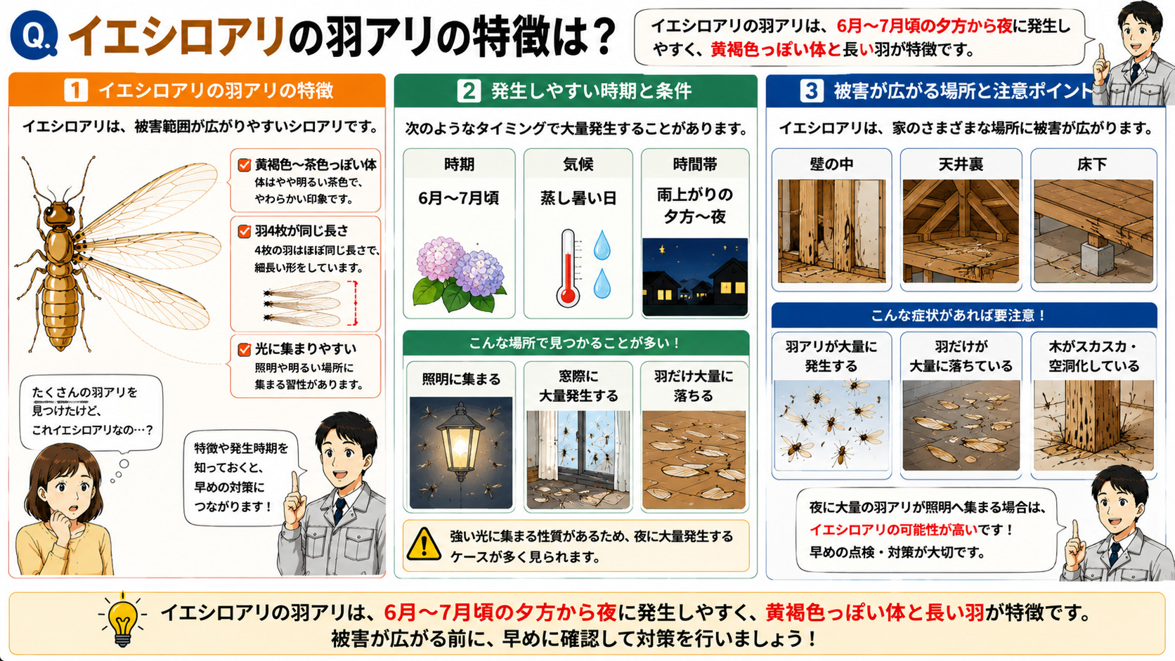 イエシロアリの羽アリの特徴を分かりやすく解説した16対9の3コマ漫画風インフォグラフィック。黄褐色から茶色っぽい体と長い羽、羽4枚が同じ長さで光に集まりやすいイエシロアリの特徴をイラスト付きで紹介。6月〜7月頃の蒸し暑い日や雨上がりの夕方から夜に大量発生しやすいこと、照明・窓際に集まる、羽だけ大量に落ちるケースを図解。壁の中・天井裏・床下など広い範囲へ被害が進む可能性や、夜に大量の羽アリが照明へ集まる場合は注意が必要であることを伝えるイエシロアリ解説画像